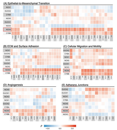 wfma (Wei Feng Ma) · GitHub