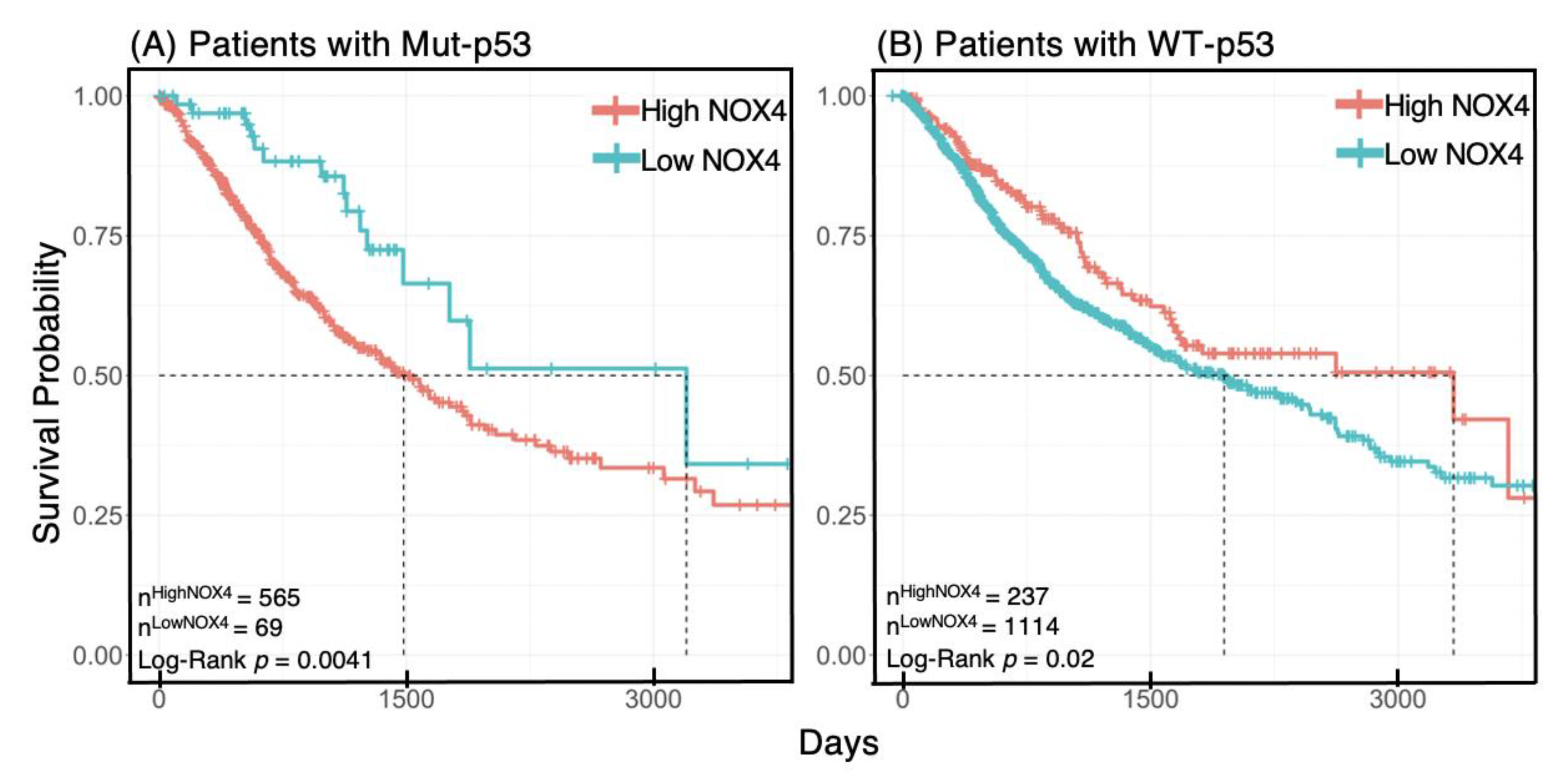 Antioxidants 10 00235 g007 Antioxidants 10 00235 g007