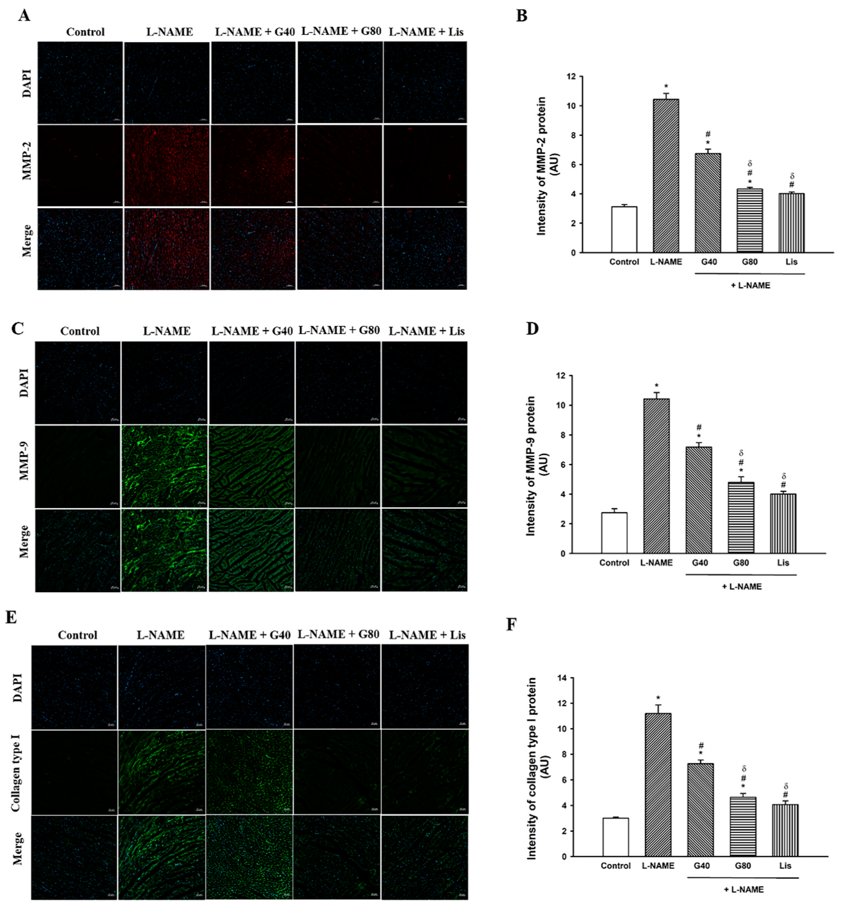 Antioxidants 10 00237 g003 Antioxidants 10 00237 g003