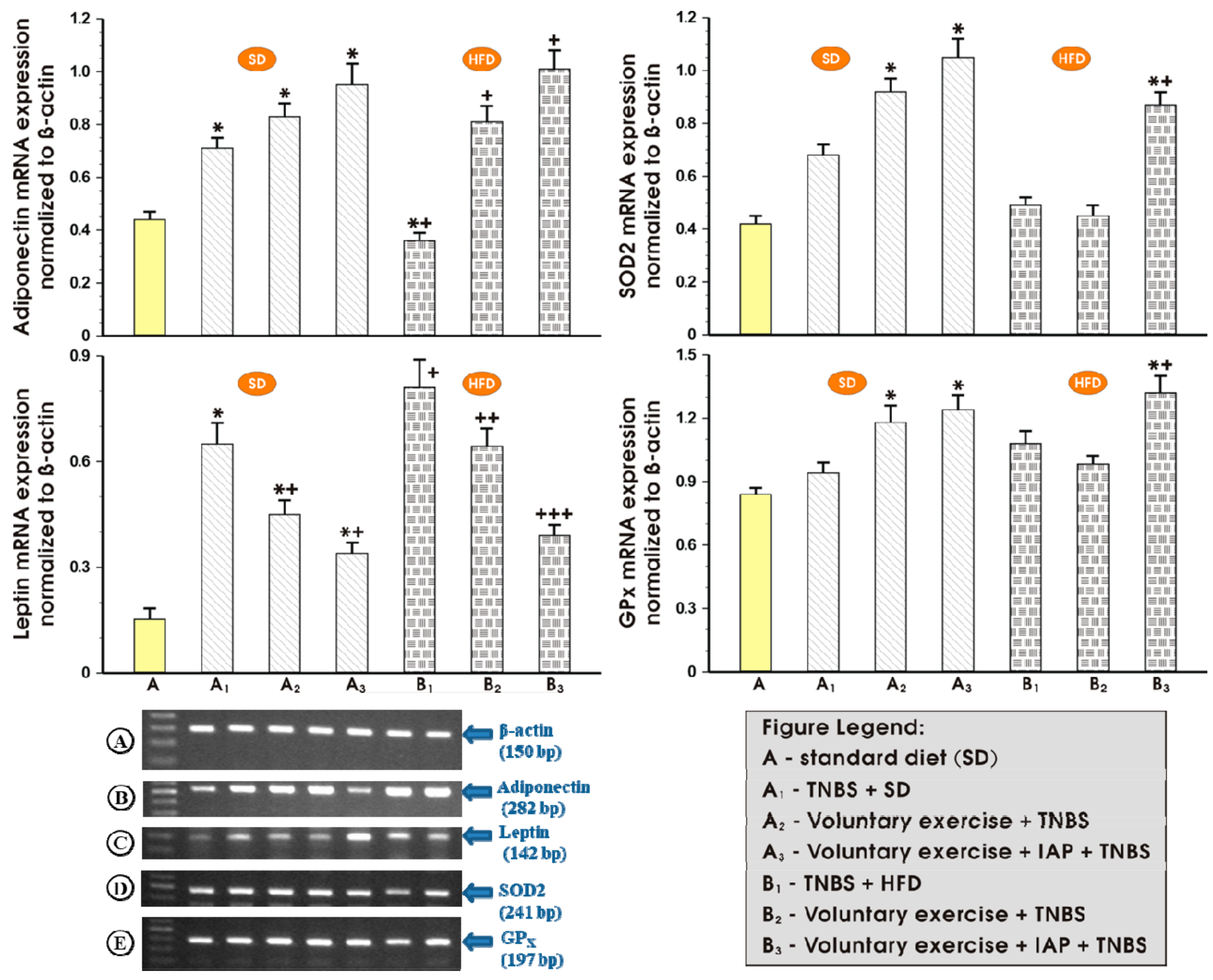Antioxidants 10 00240 g004