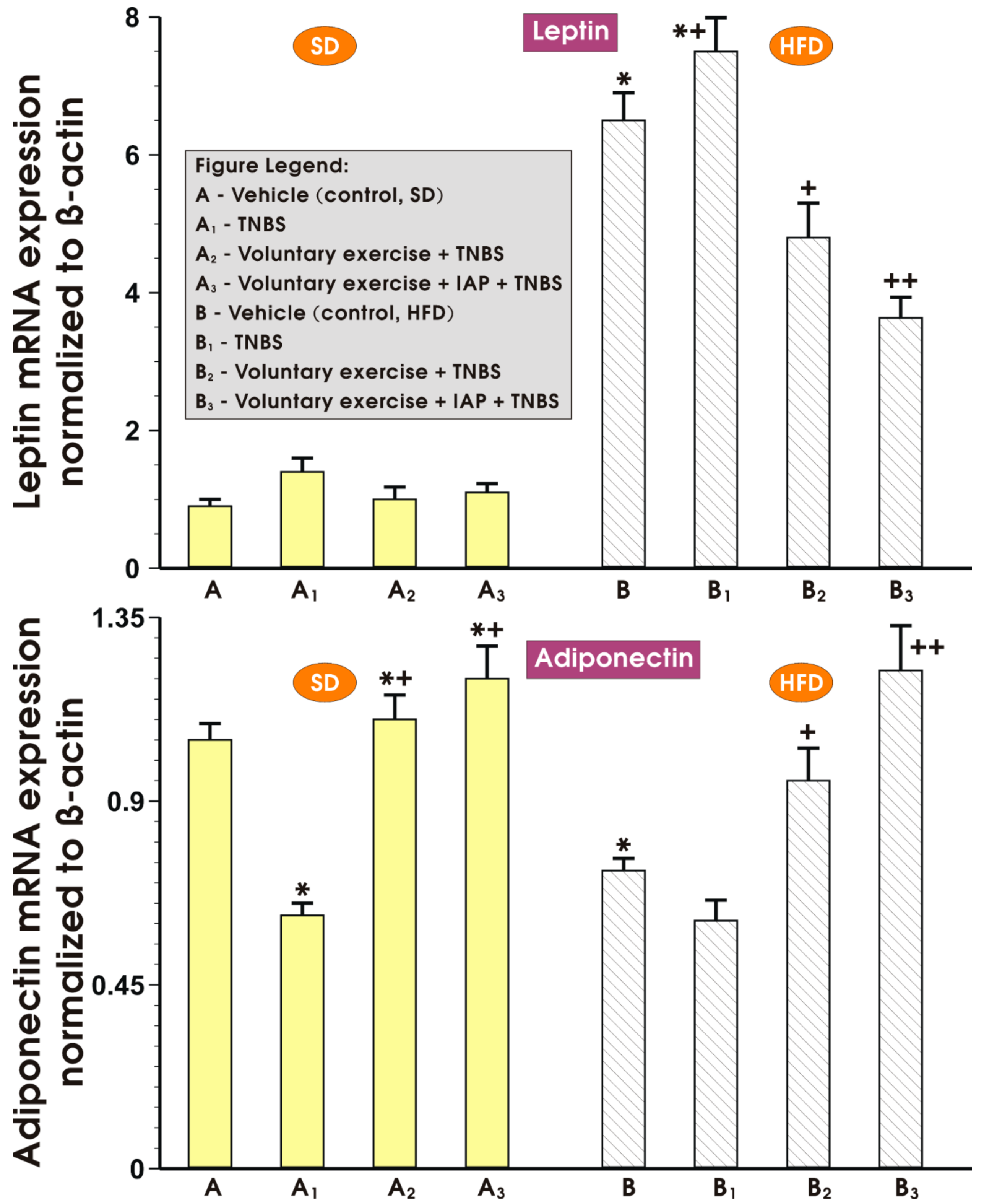 Antioxidants 10 00240 g006