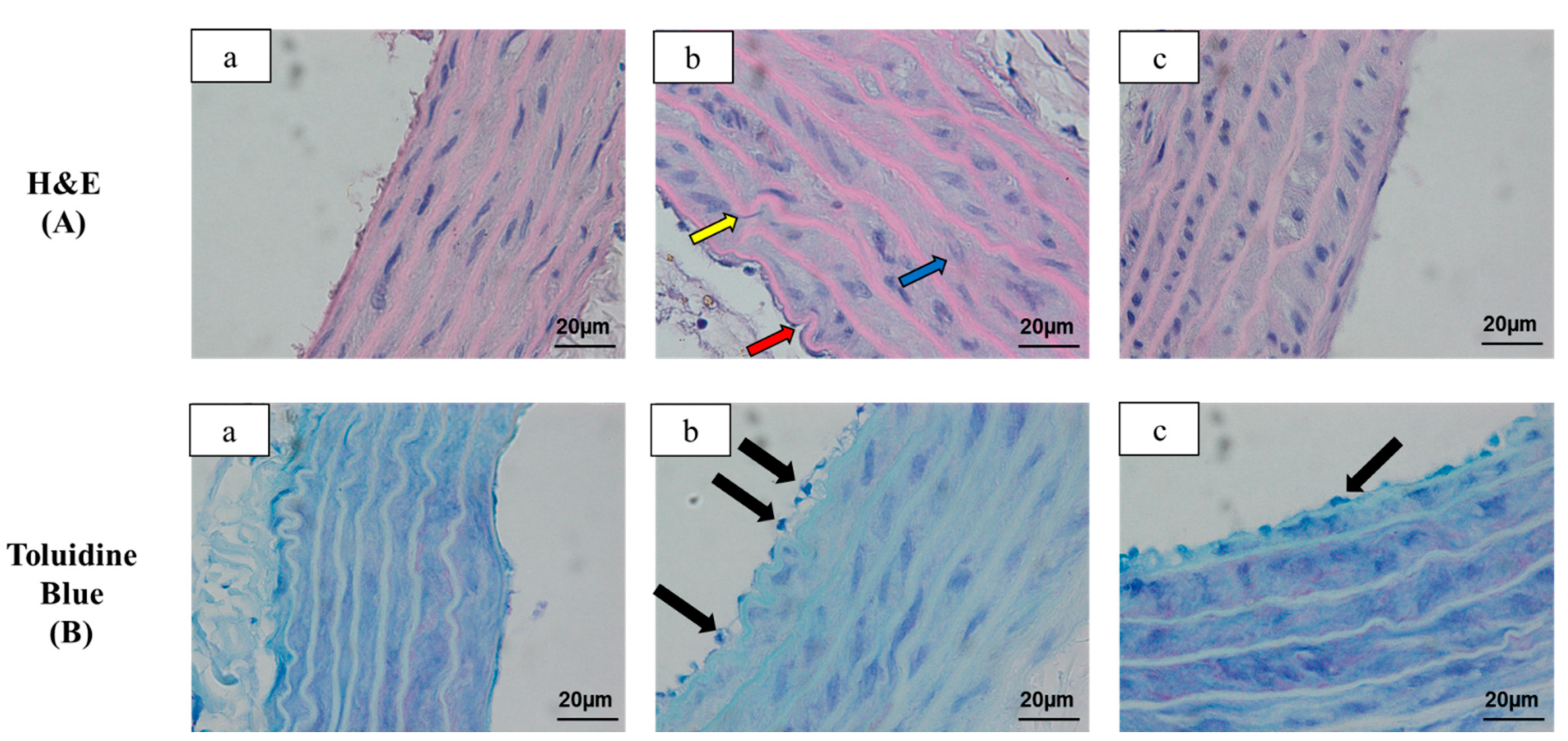 Antioxidants 10 00251 g003 Antioxidants 10 00251 g003