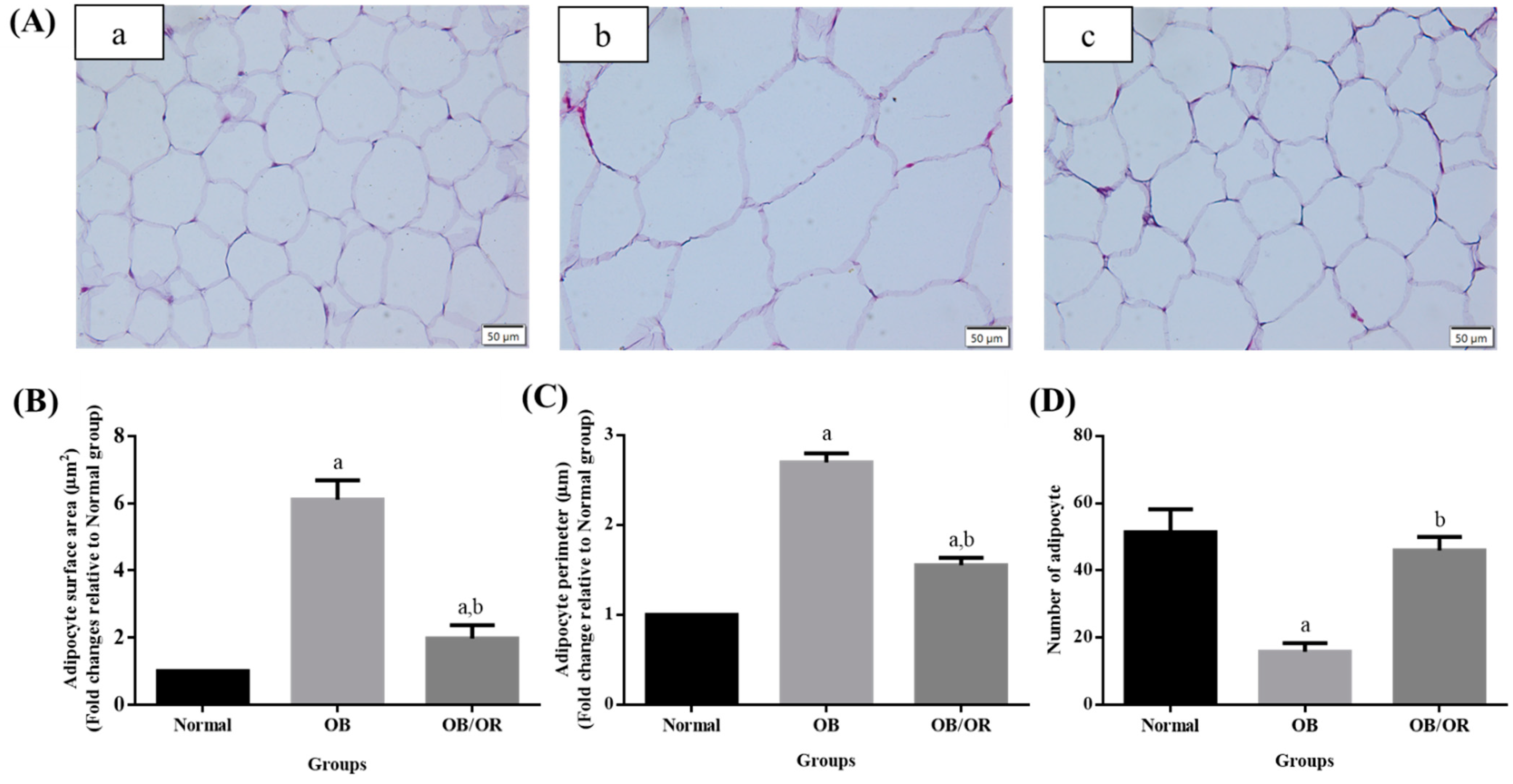 Antioxidants 10 00251 g004 Antioxidants 10 00251 g004