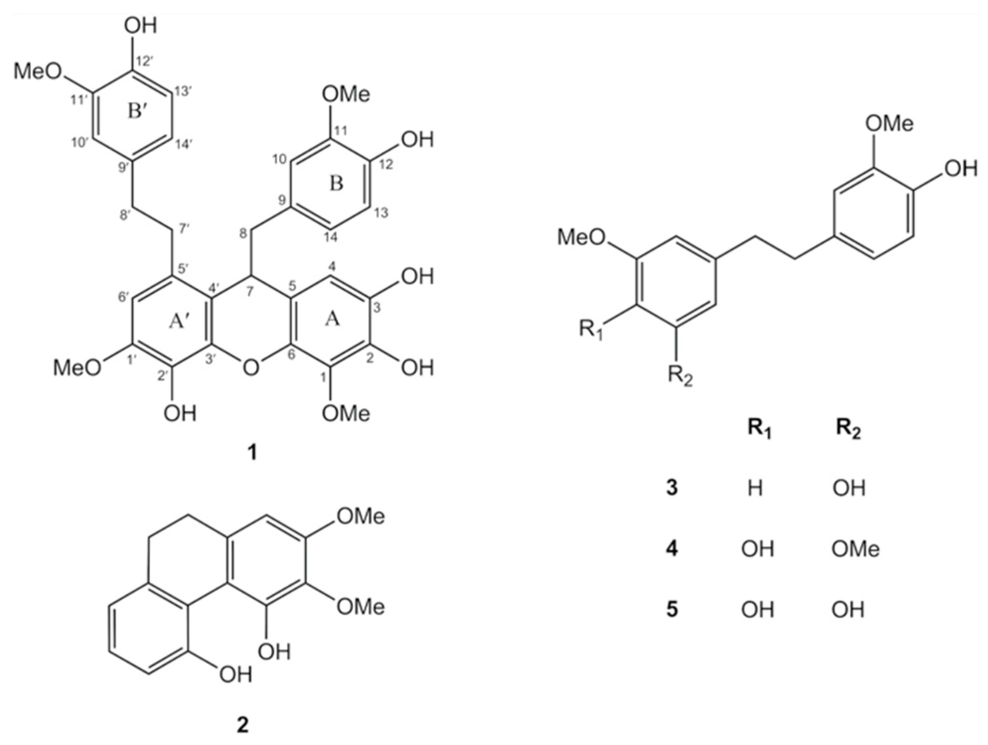 Antioxidants 10 00252 g001 Antioxidants 10 00252 g001