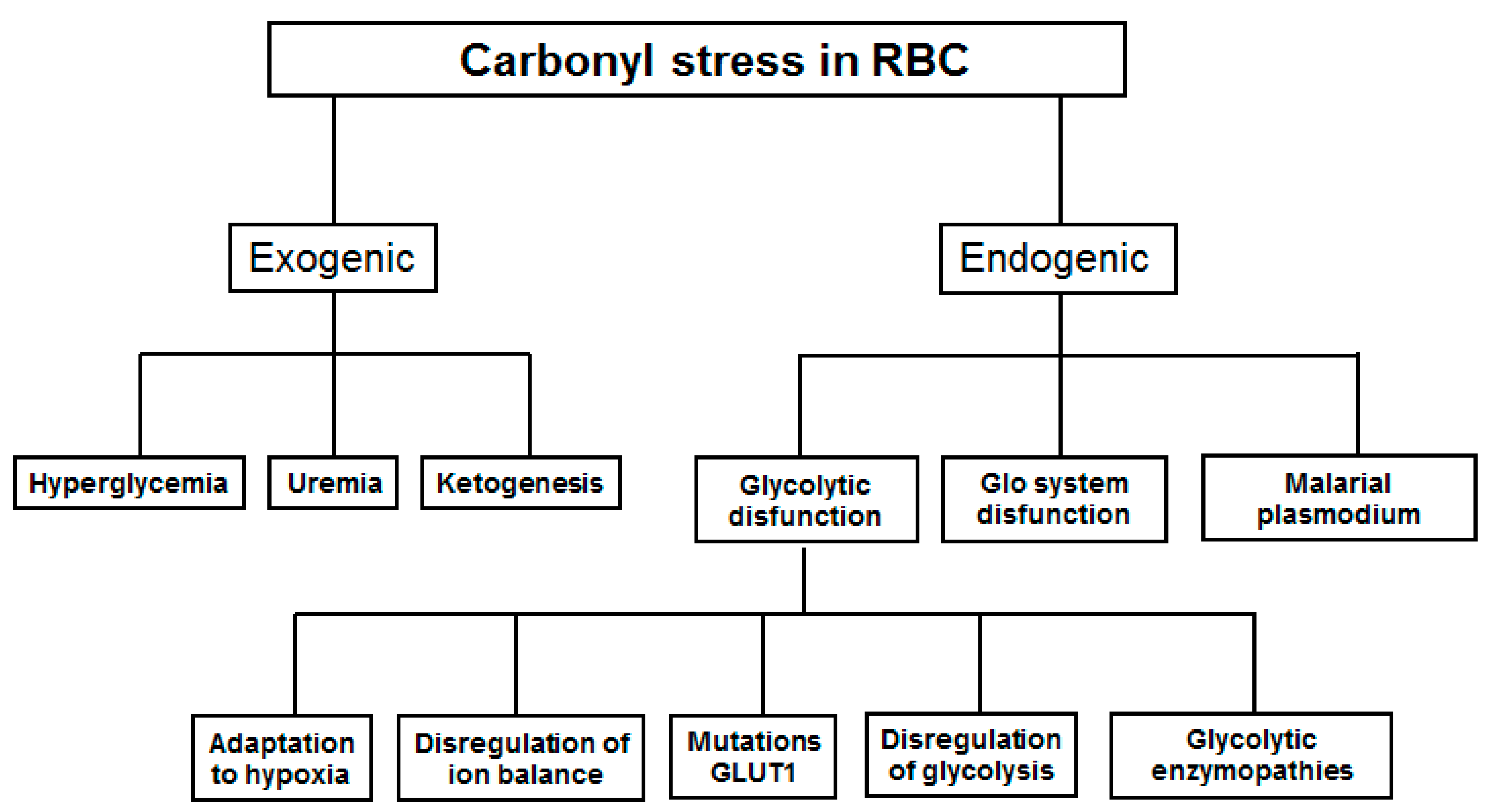 Antioxidants 10 00253 g001 Antioxidants 10 00253 g001