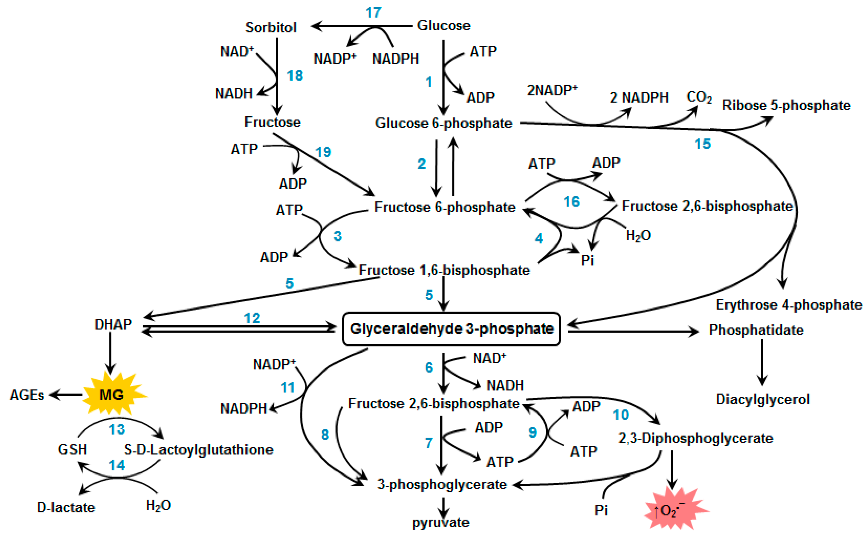 Antioxidants 10 00253 g002 Antioxidants 10 00253 g002