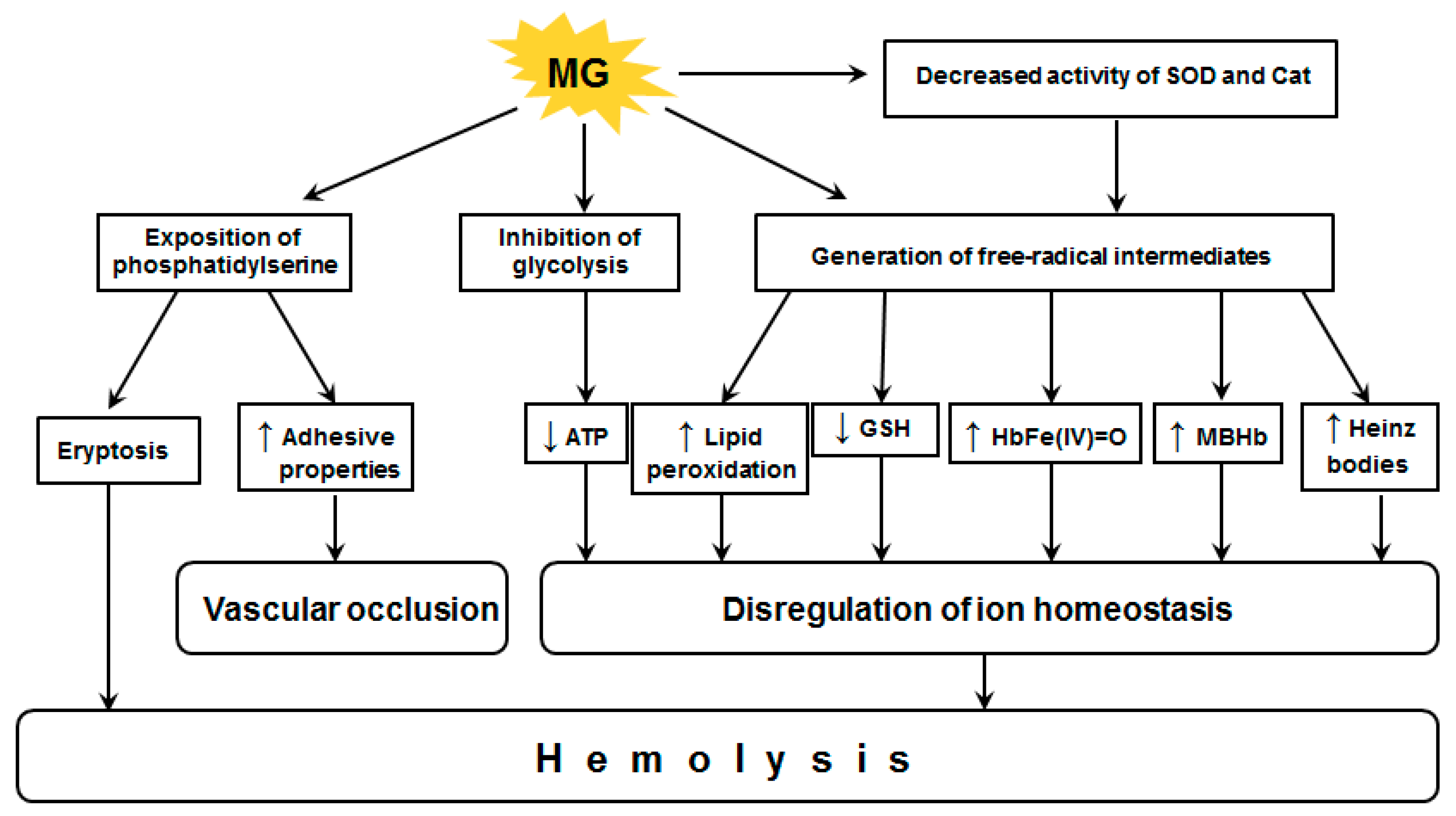 Antioxidants 10 00253 g004 Antioxidants 10 00253 g004