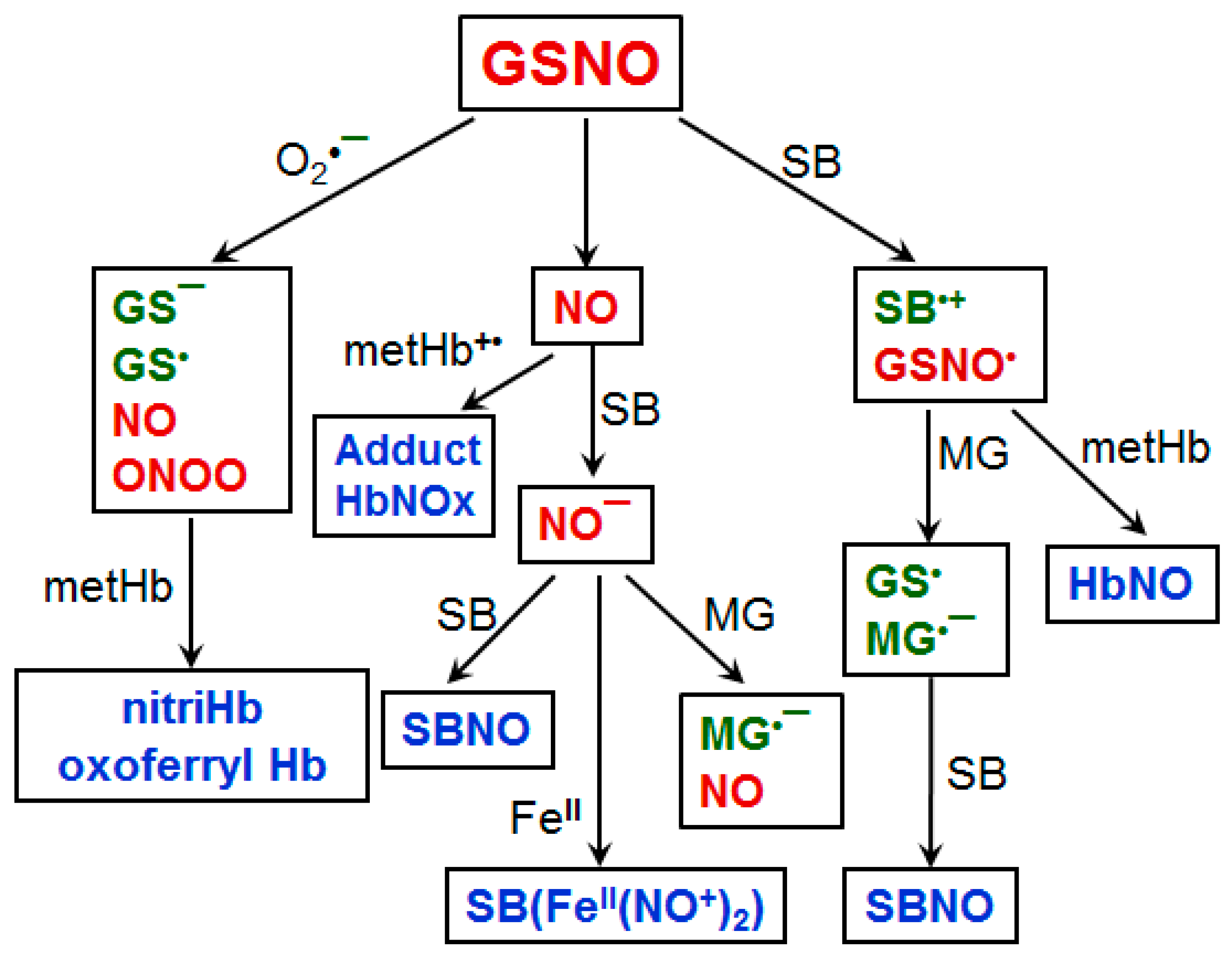Antioxidants 10 00253 g005 Antioxidants 10 00253 g005