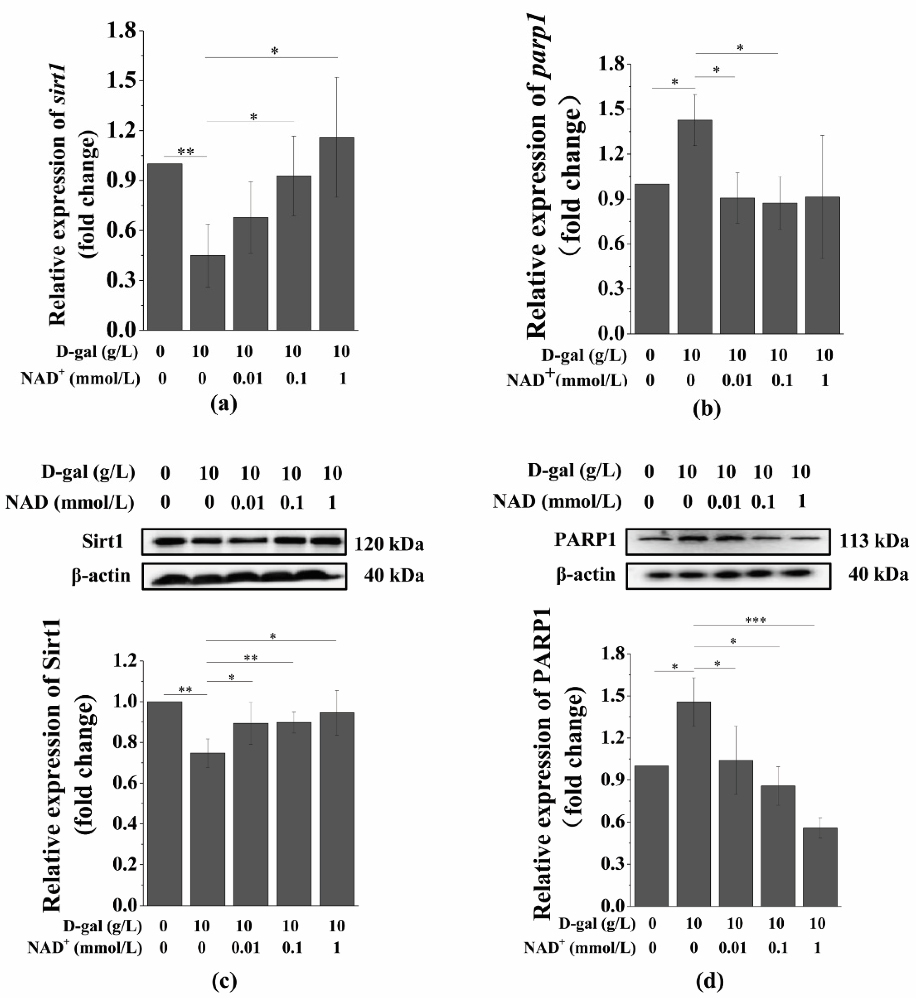 Antioxidants 10 00254 g005 Antioxidants 10 00254 g005