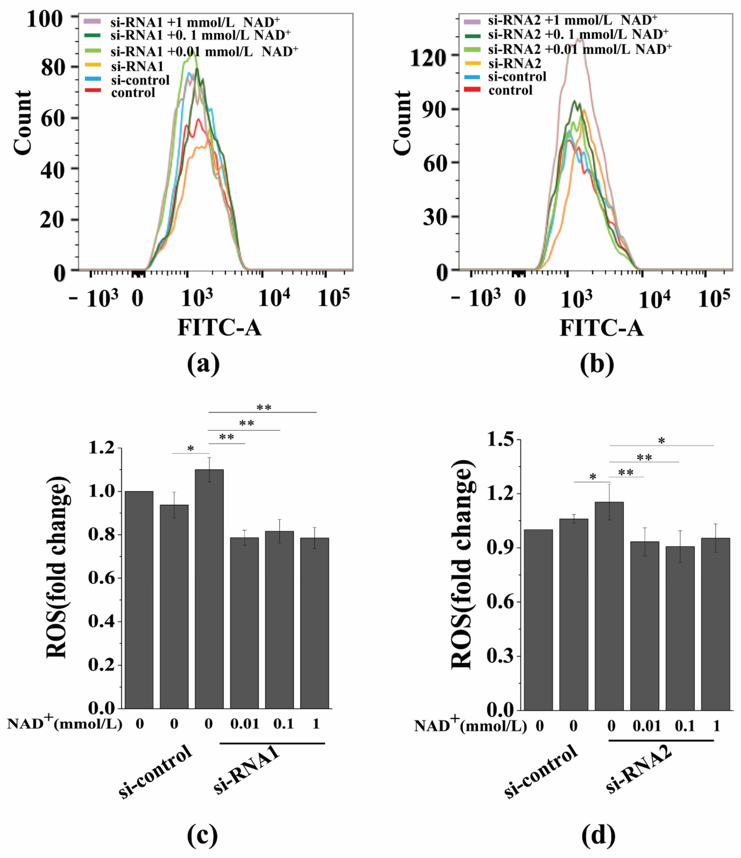 Antioxidants 10 00254 g007 Antioxidants 10 00254 g007