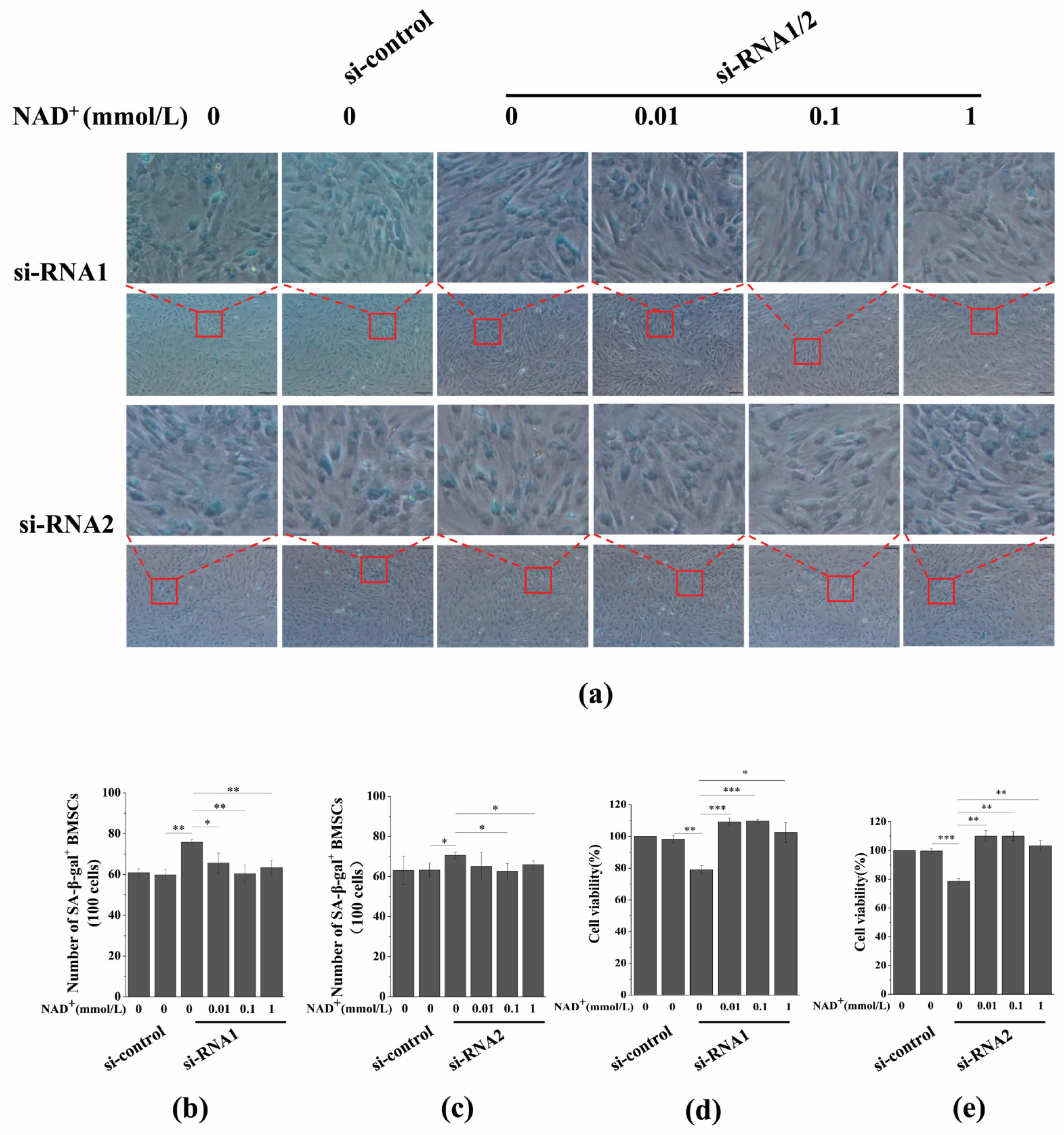 Antioxidants 10 00254 g008 Antioxidants 10 00254 g008