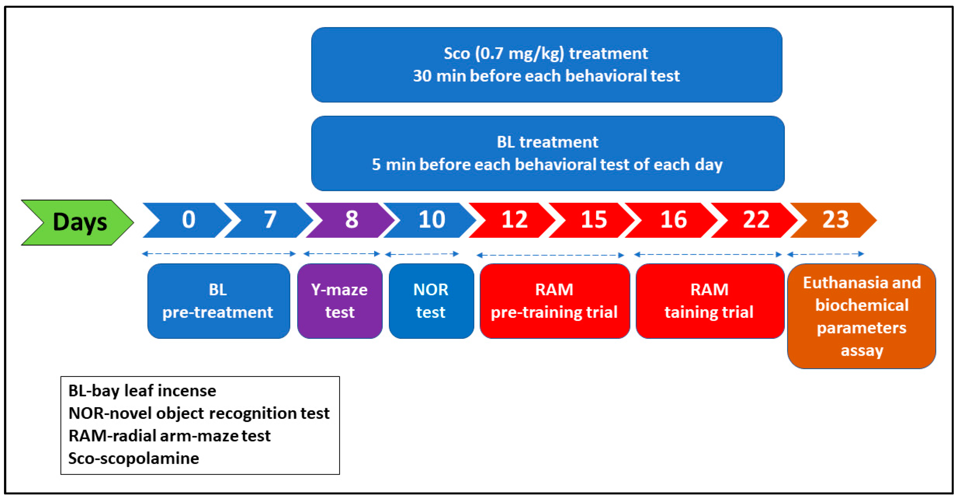 Antioxidants 10 00259 g001 Antioxidants 10 00259 g001
