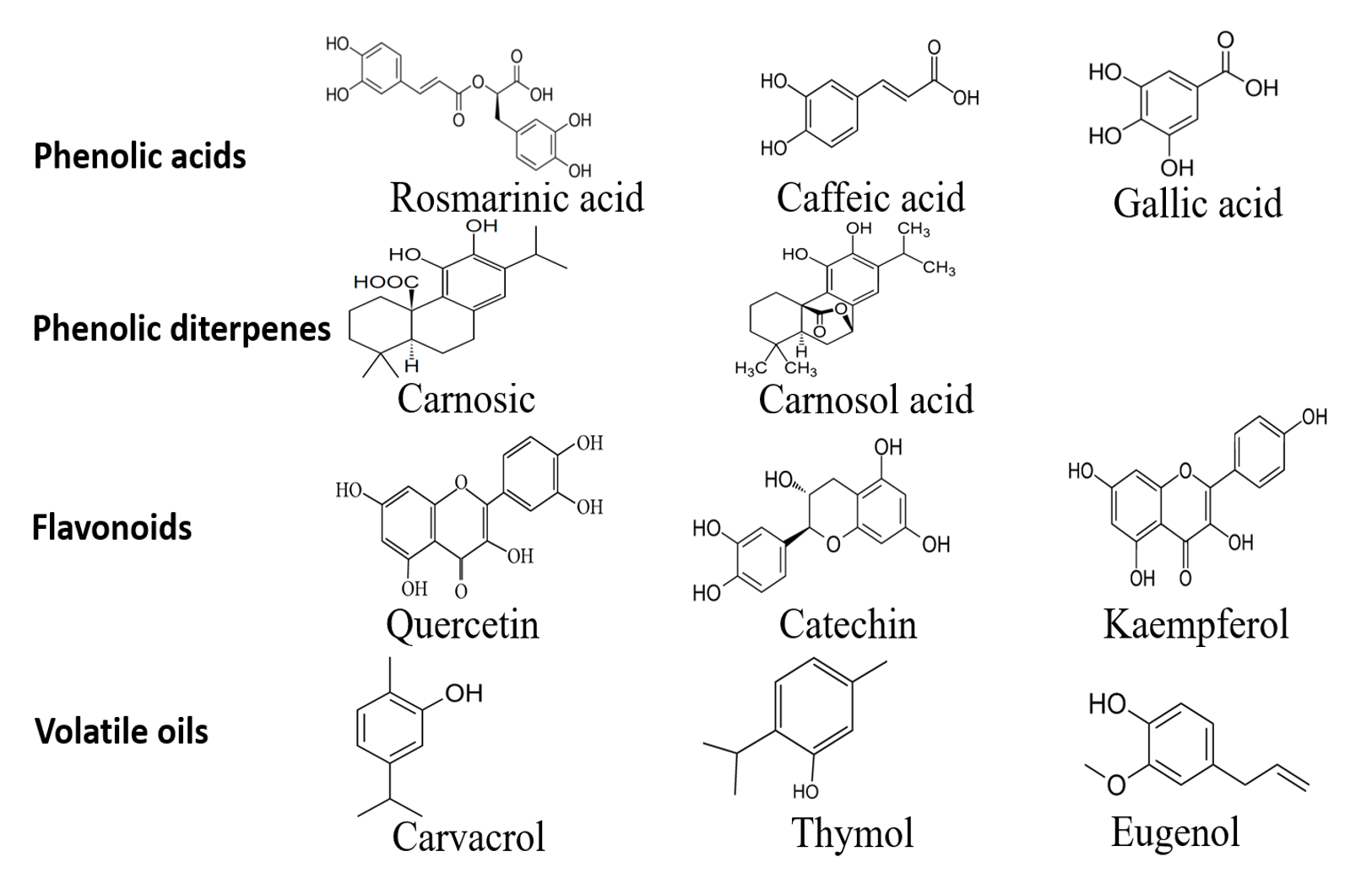Antioxidants Free FullText PlantBased Phenolic Molecules as