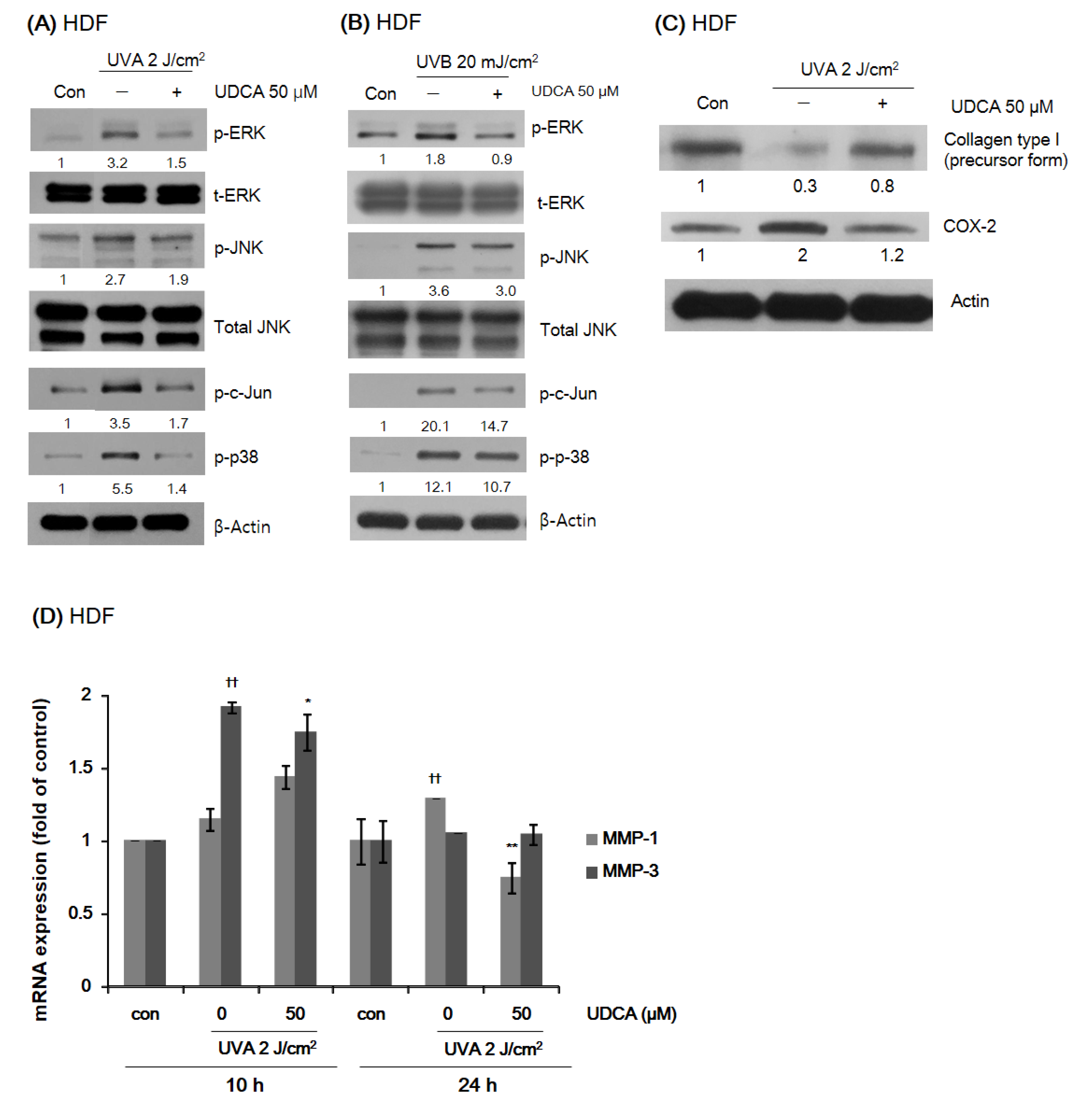 Antioxidants 10 00267 g003 Antioxidants 10 00267 g003