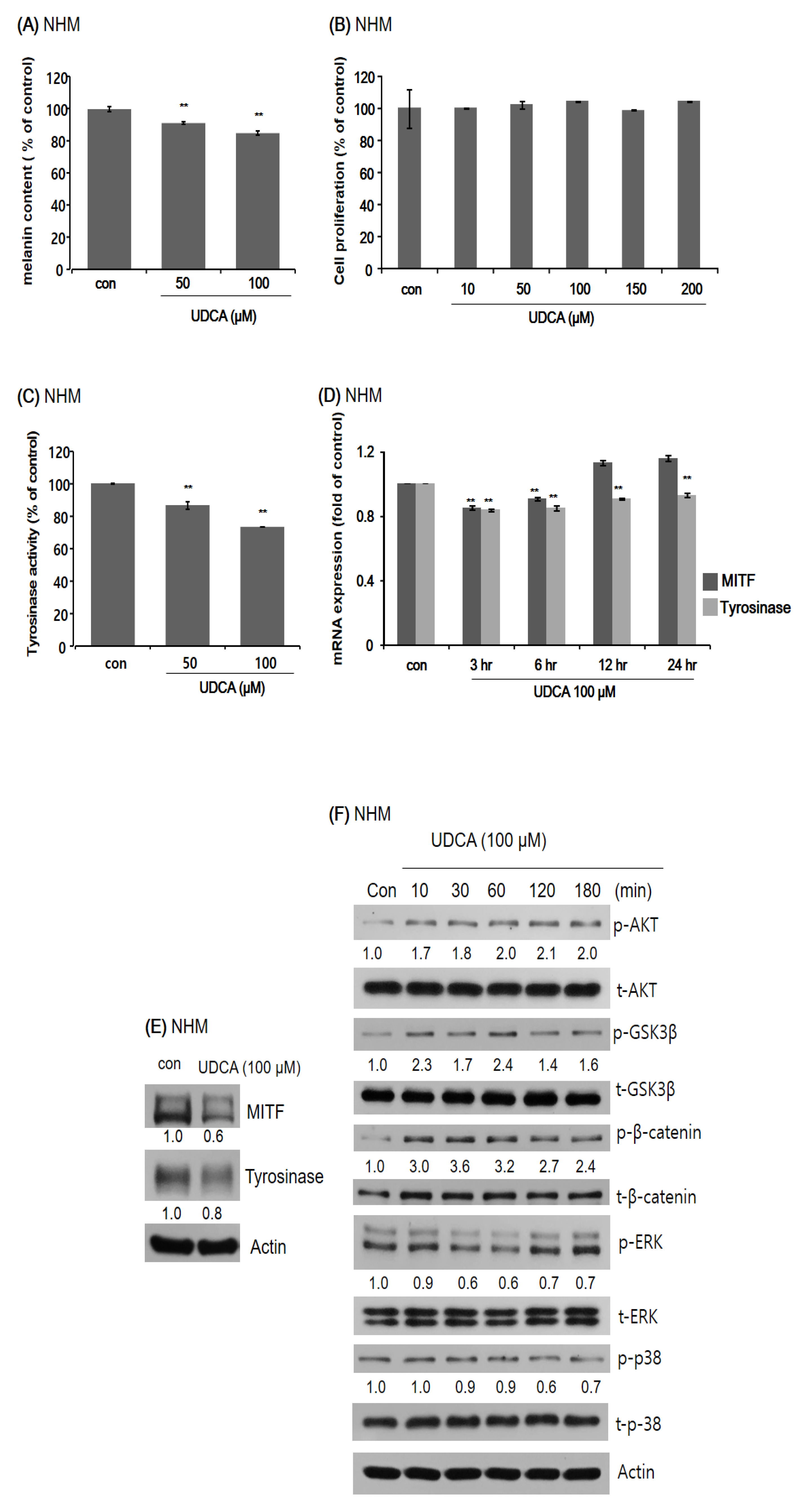 Antioxidants 10 00267 g004 Antioxidants 10 00267 g004