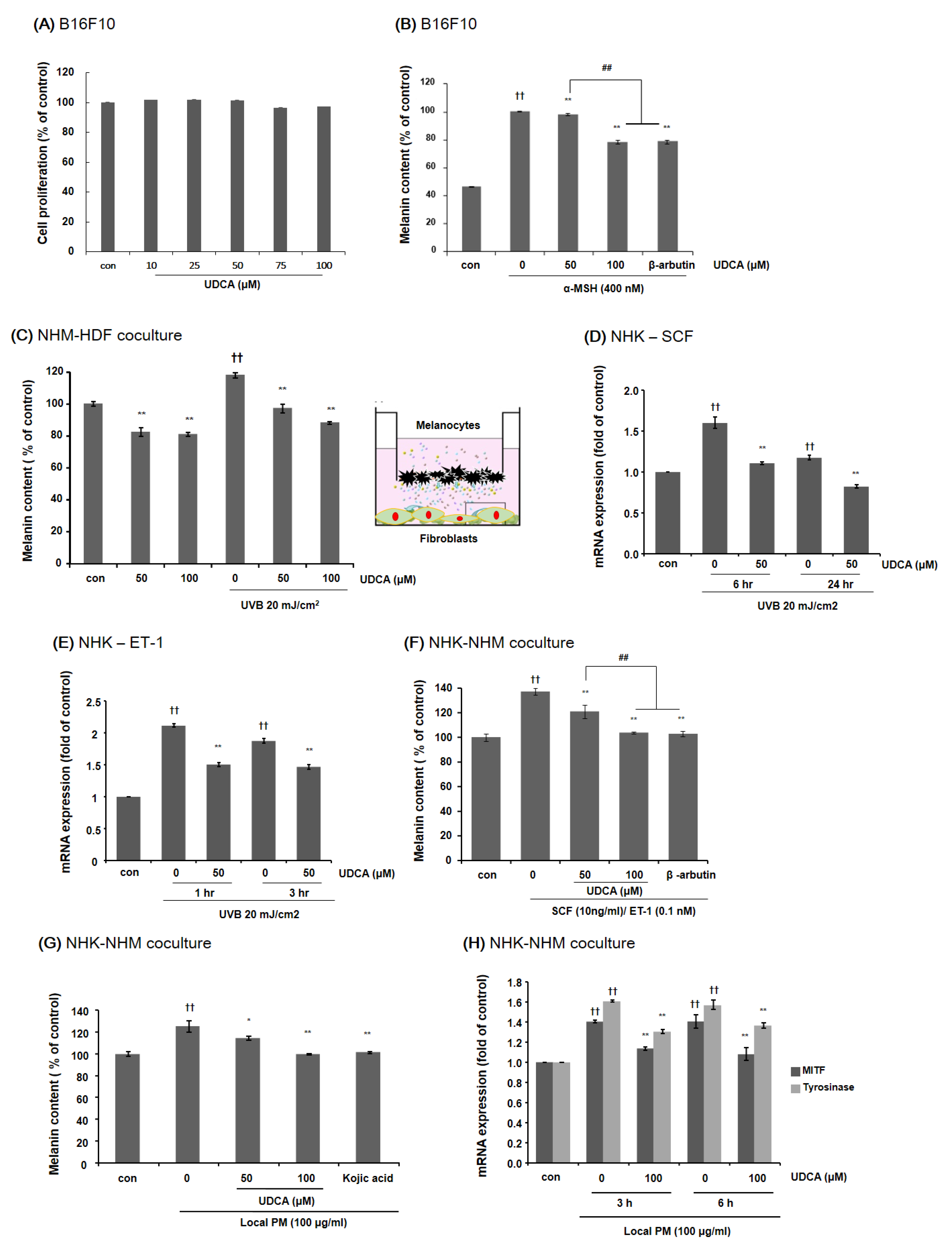 Antioxidants 10 00267 g005 Antioxidants 10 00267 g005