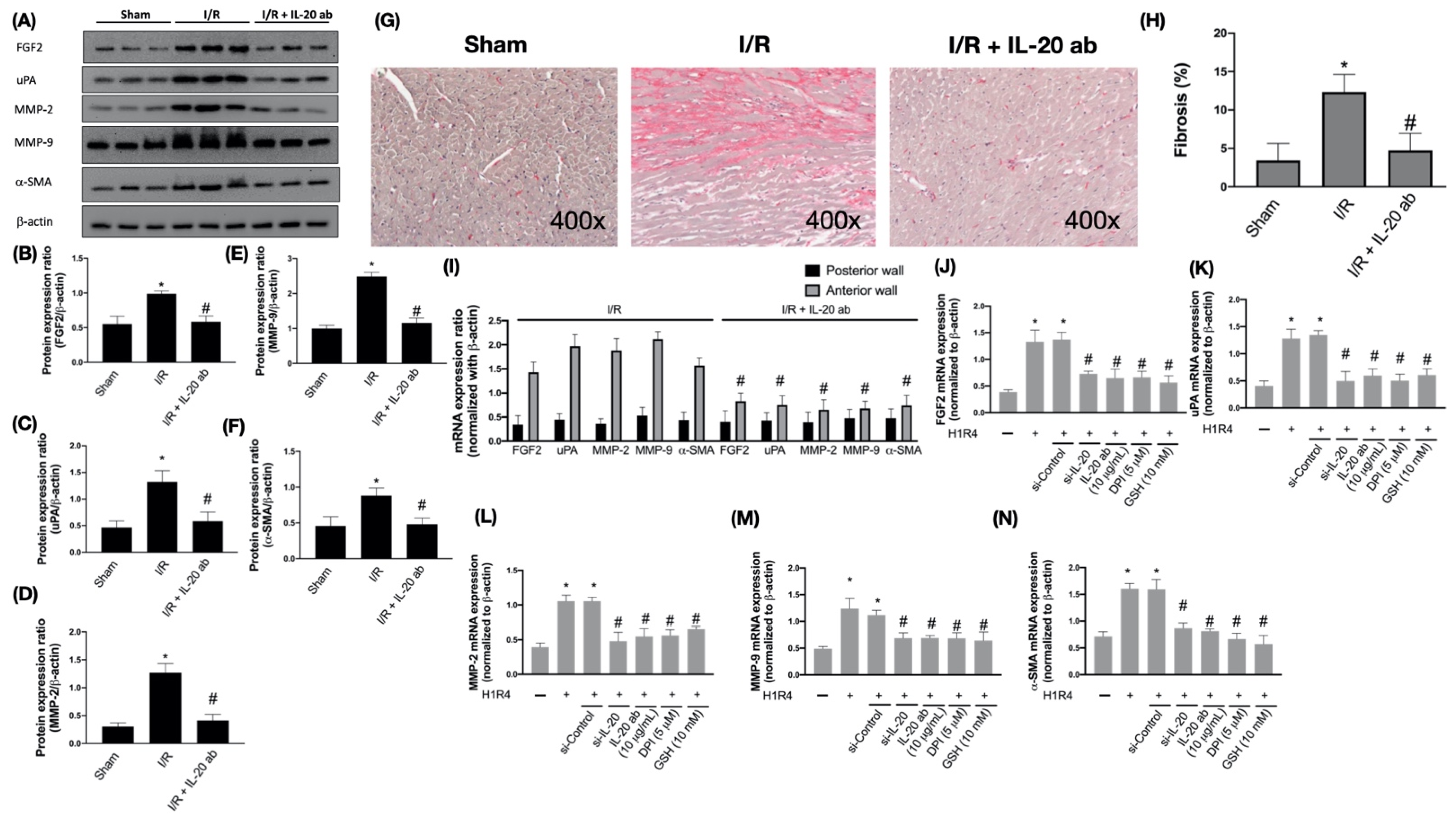 Antioxidants 10 00275 g005
