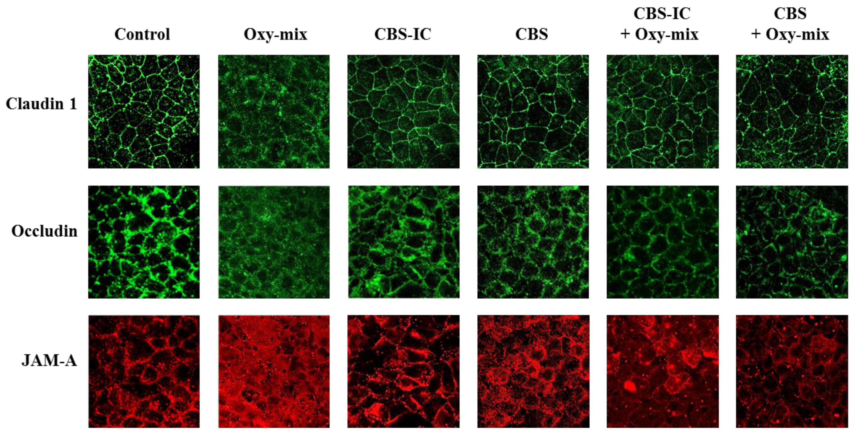 Antioxidants 10 00280 g003 Antioxidants 10 00280 g003
