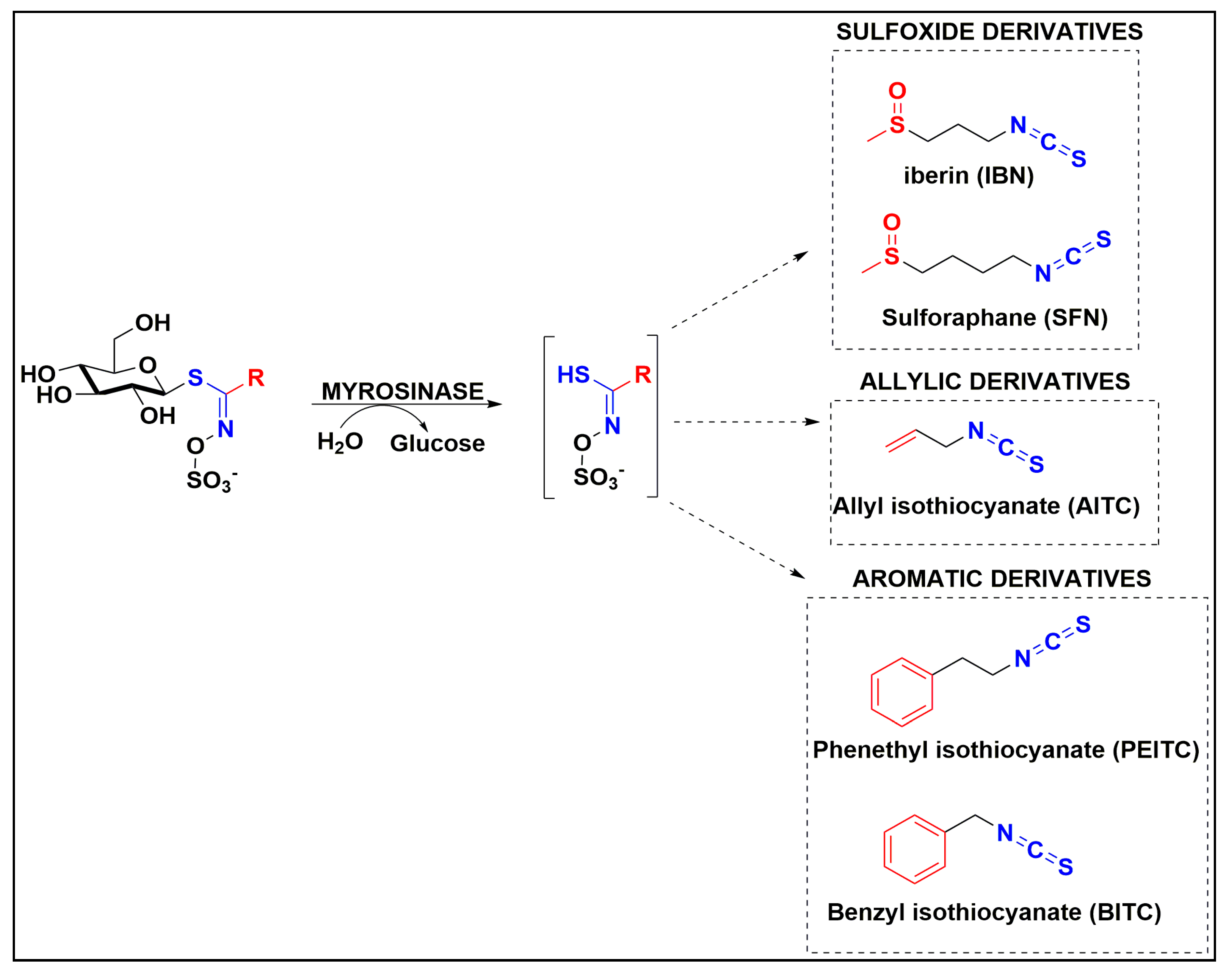 Antioxidants 10 00284 g001 Antioxidants 10 00284 g001