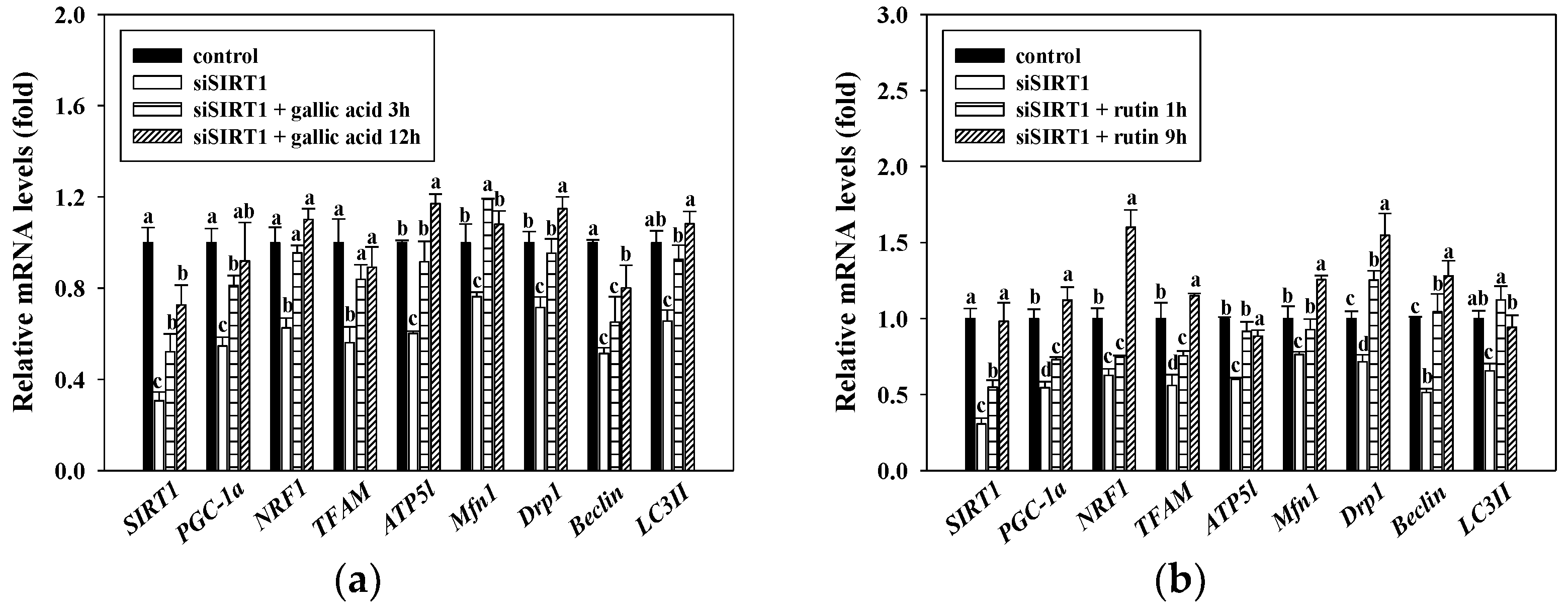 Antioxidants 10 00286 g005 Antioxidants 10 00286 g005