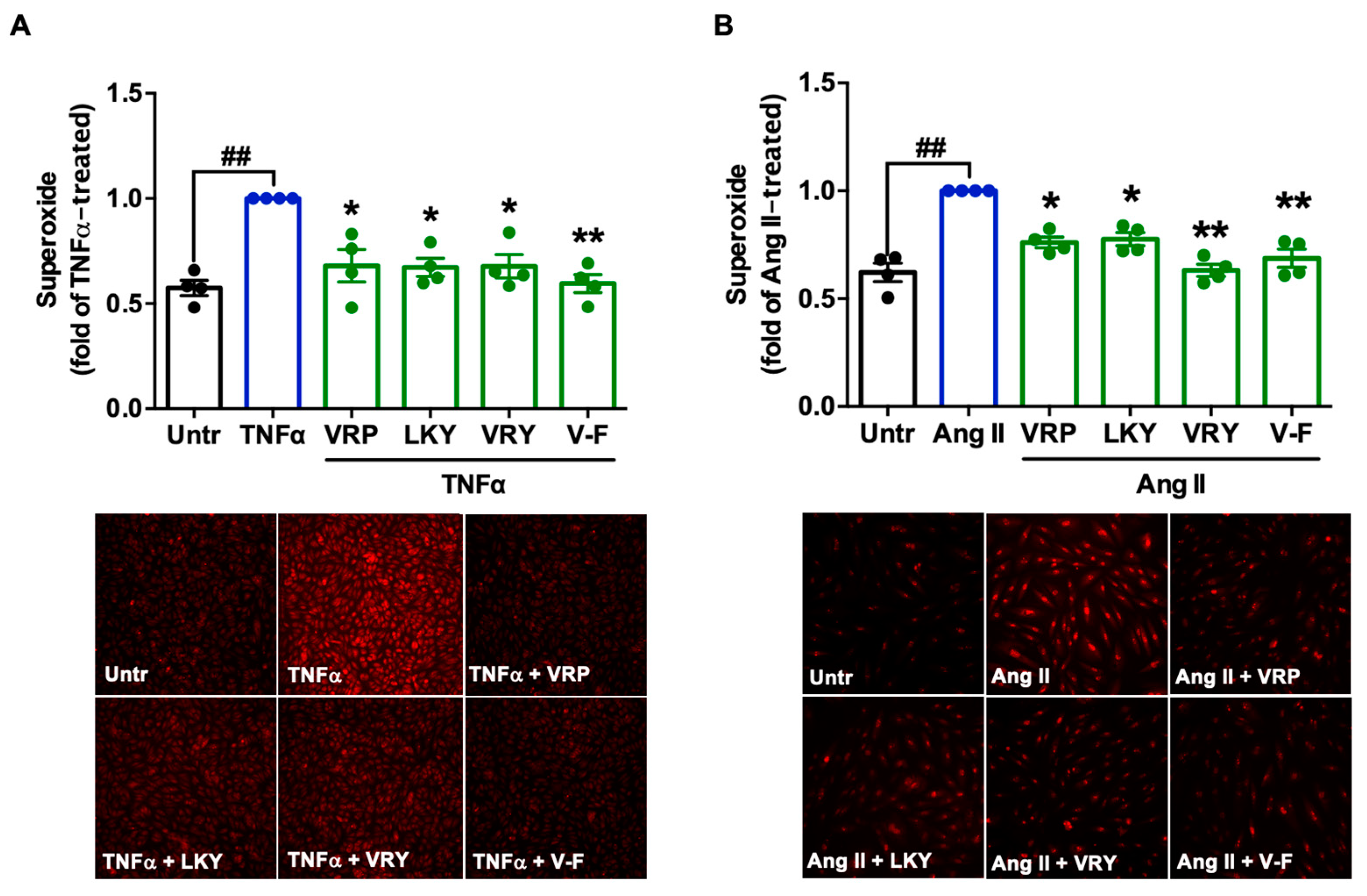 Antioxidants 10 00290 g002