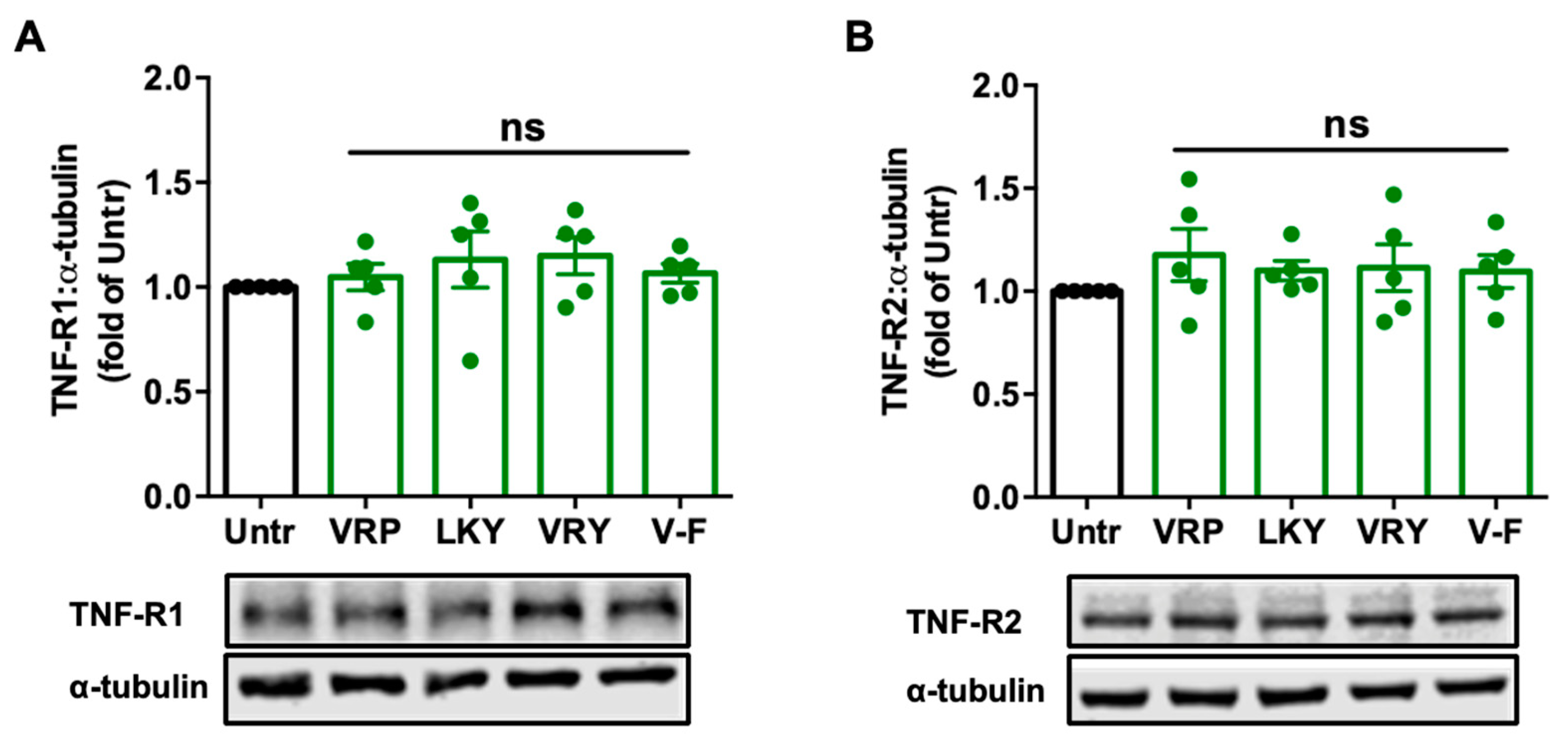Antioxidants 10 00290 g004