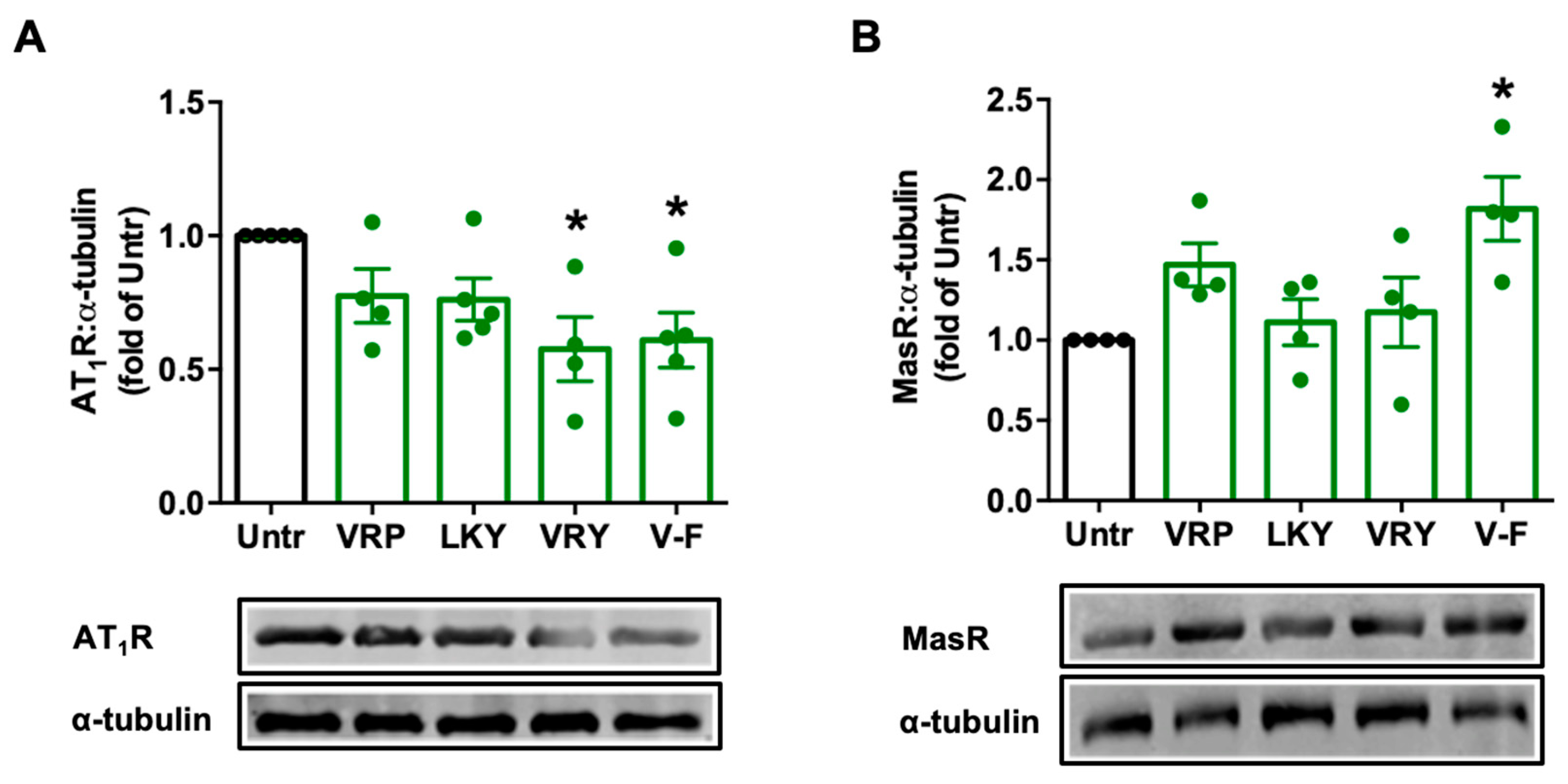 Antioxidants 10 00290 g005