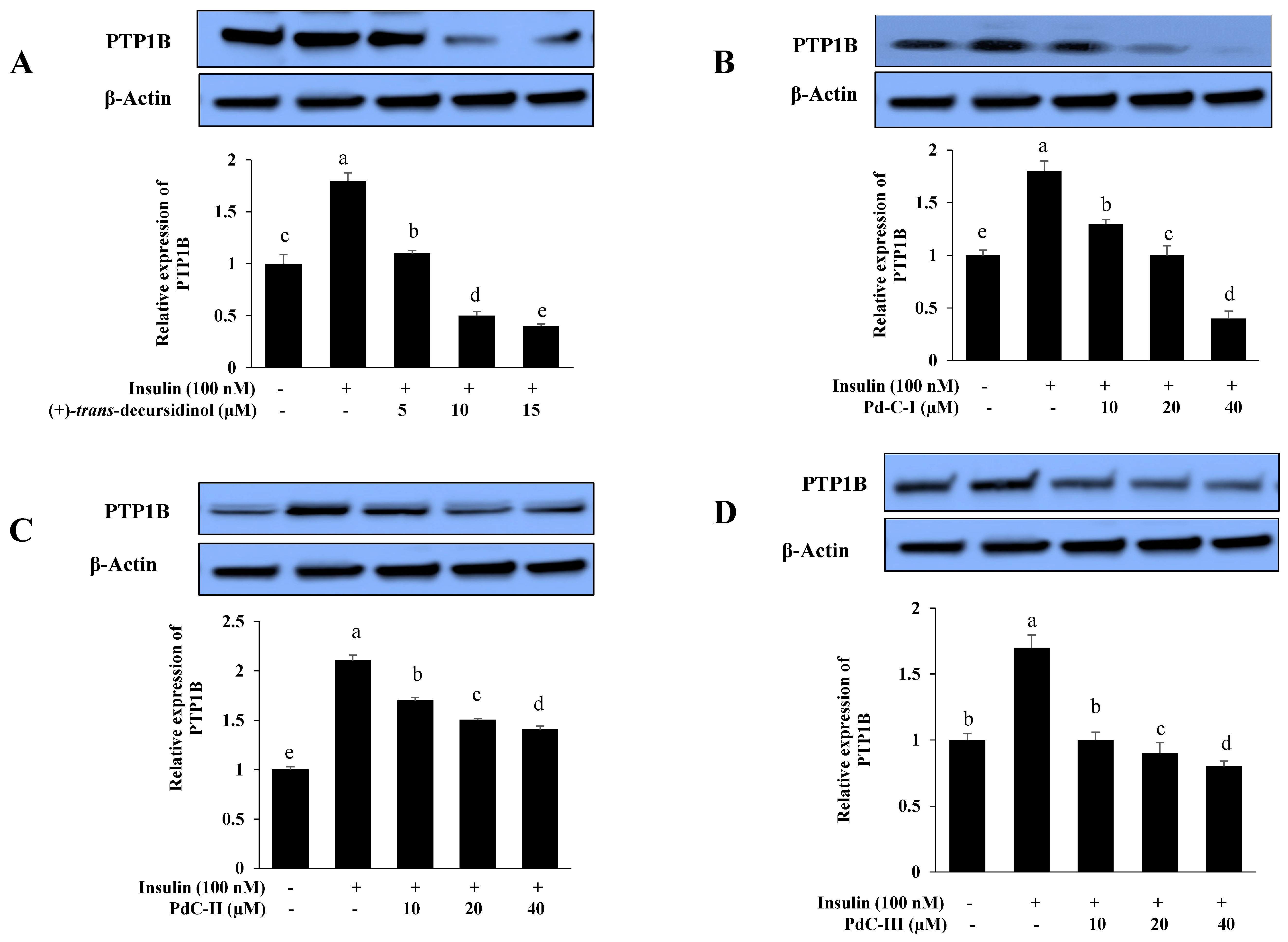 Antioxidants 10 00292 g005