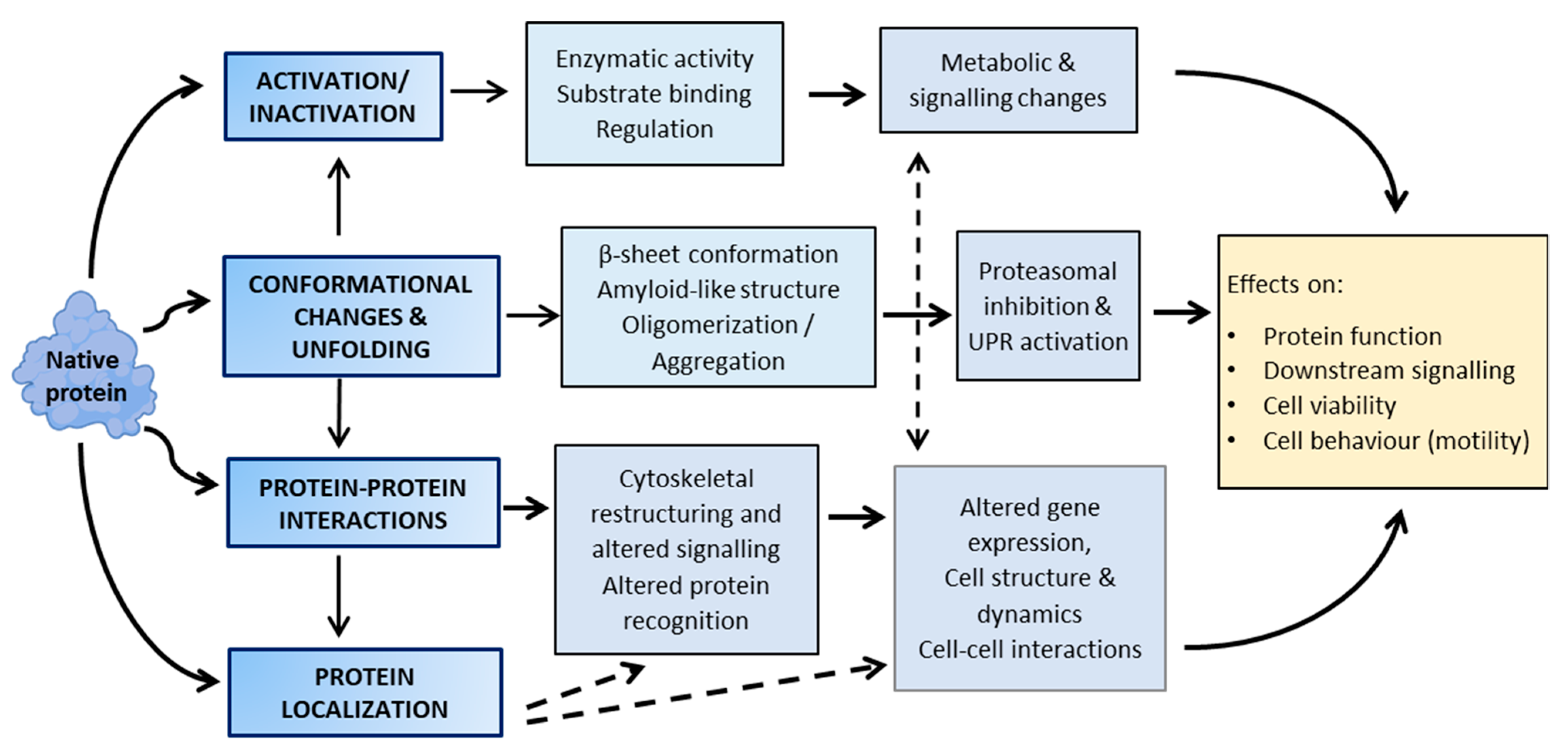 Antioxidants 10 00295 g002 Antioxidants 10 00295 g002