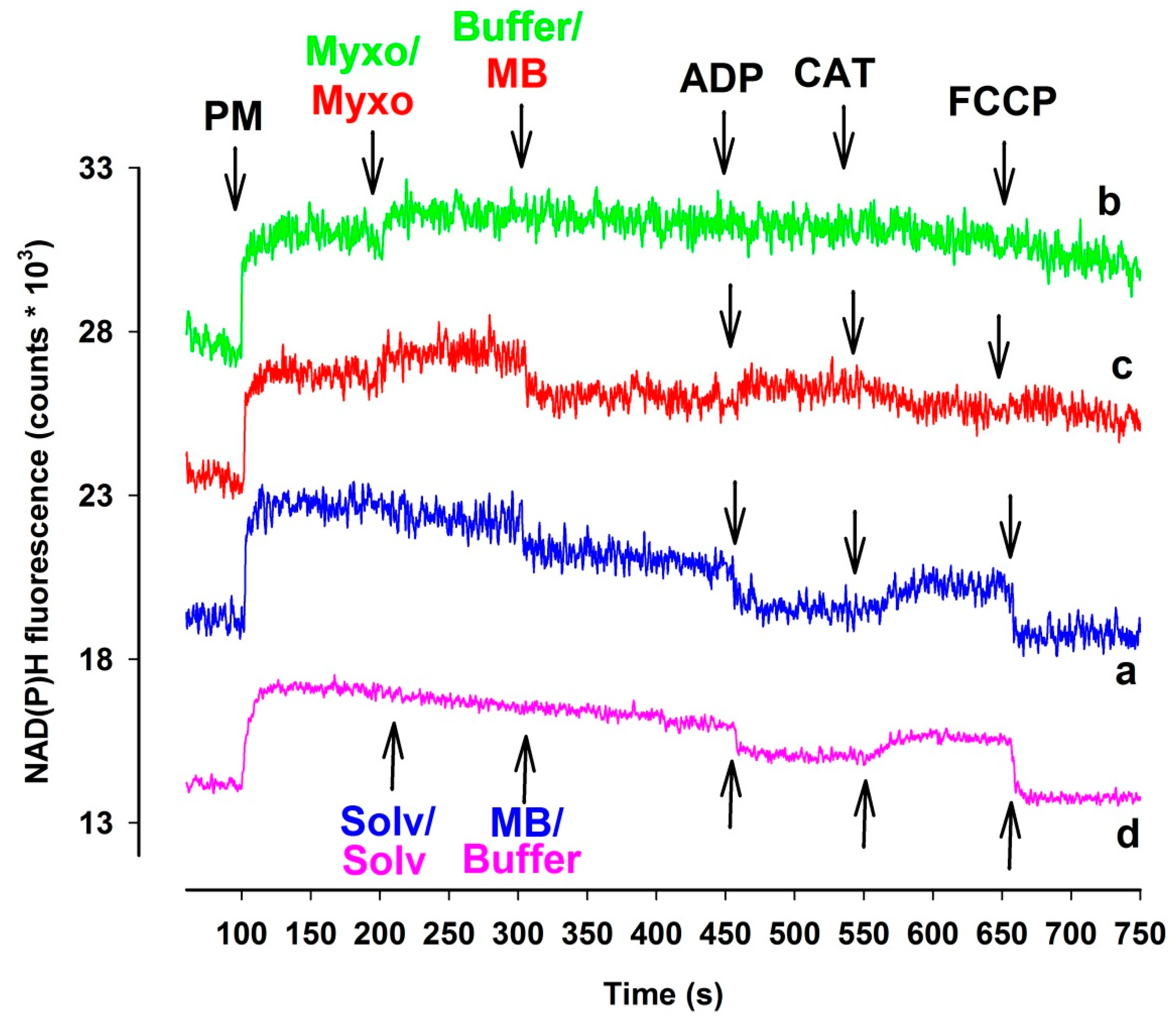 Antioxidants 10 00305 g004 Antioxidants 10 00305 g004