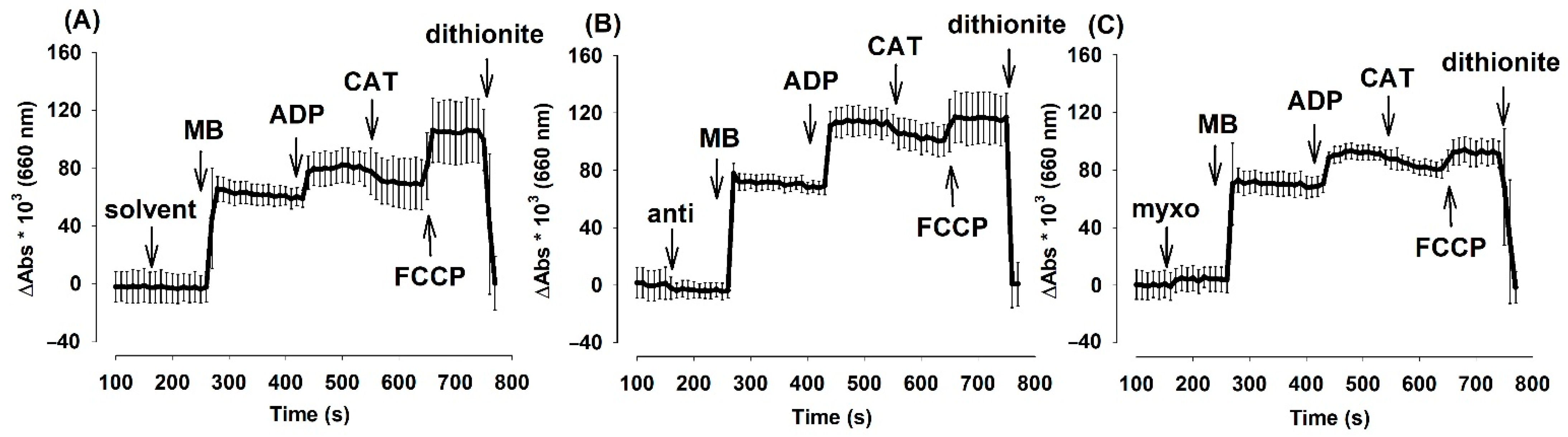 Antioxidants 10 00305 g005 Antioxidants 10 00305 g005