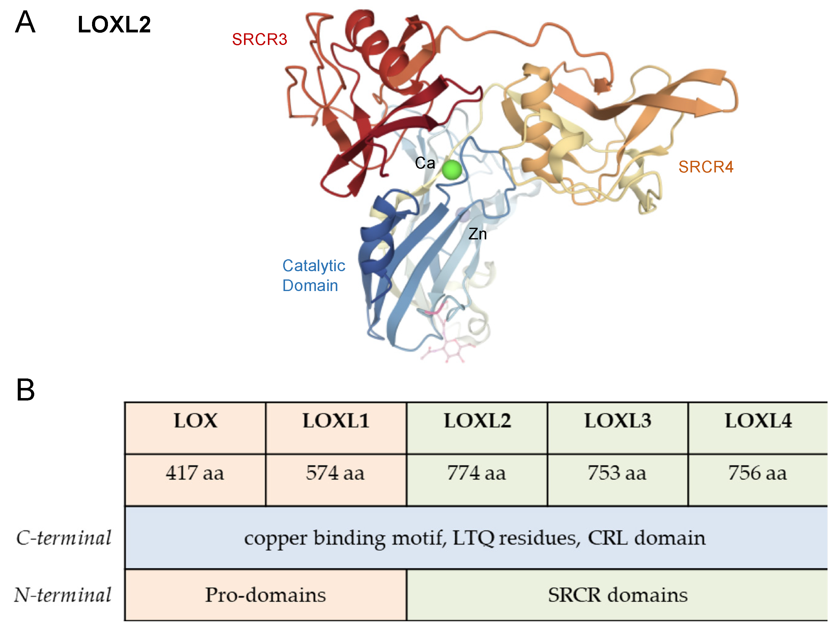 Antioxidants 10 00312 g002 Antioxidants 10 00312 g002