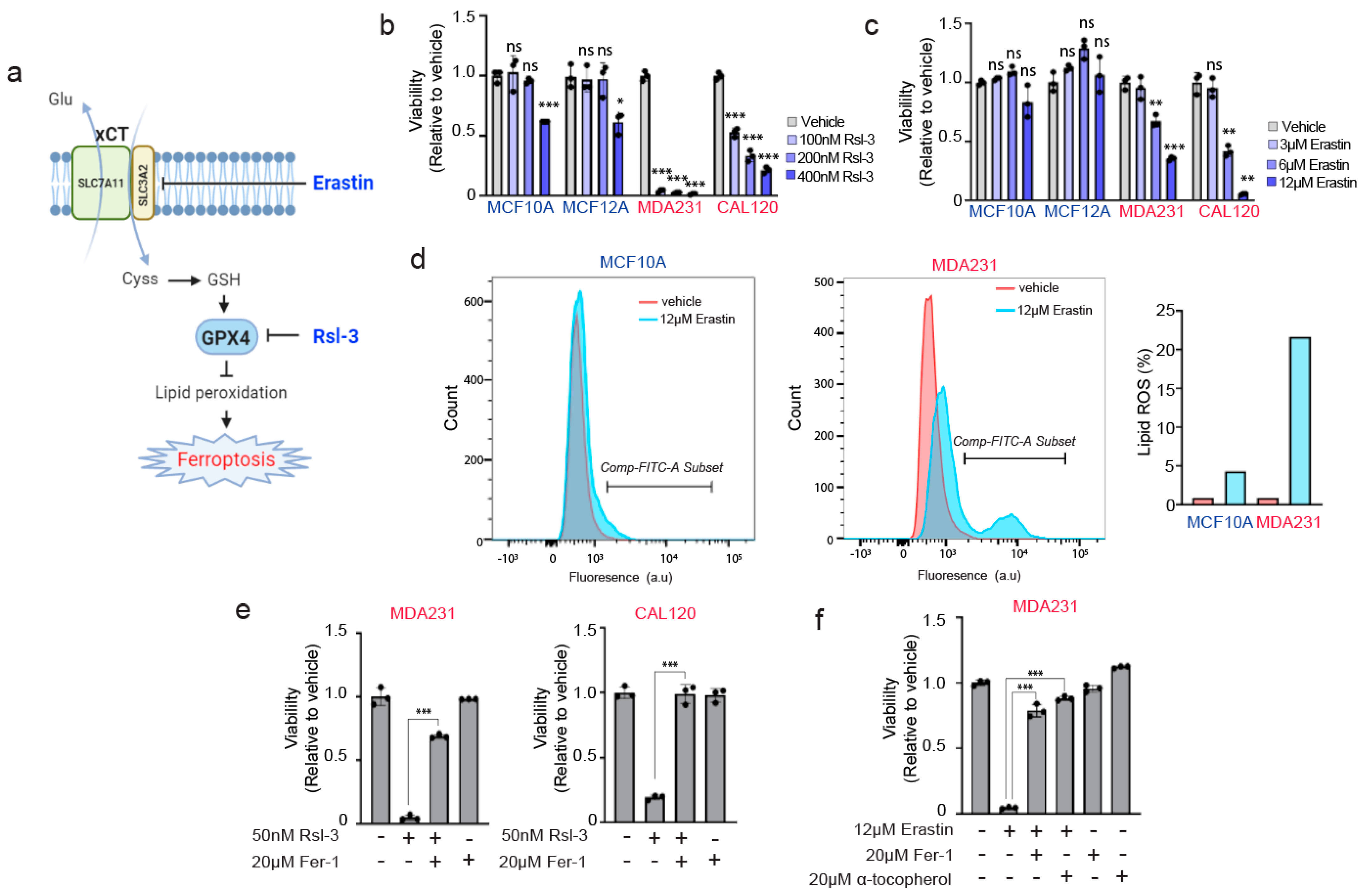 Antioxidants 10 00317 g004