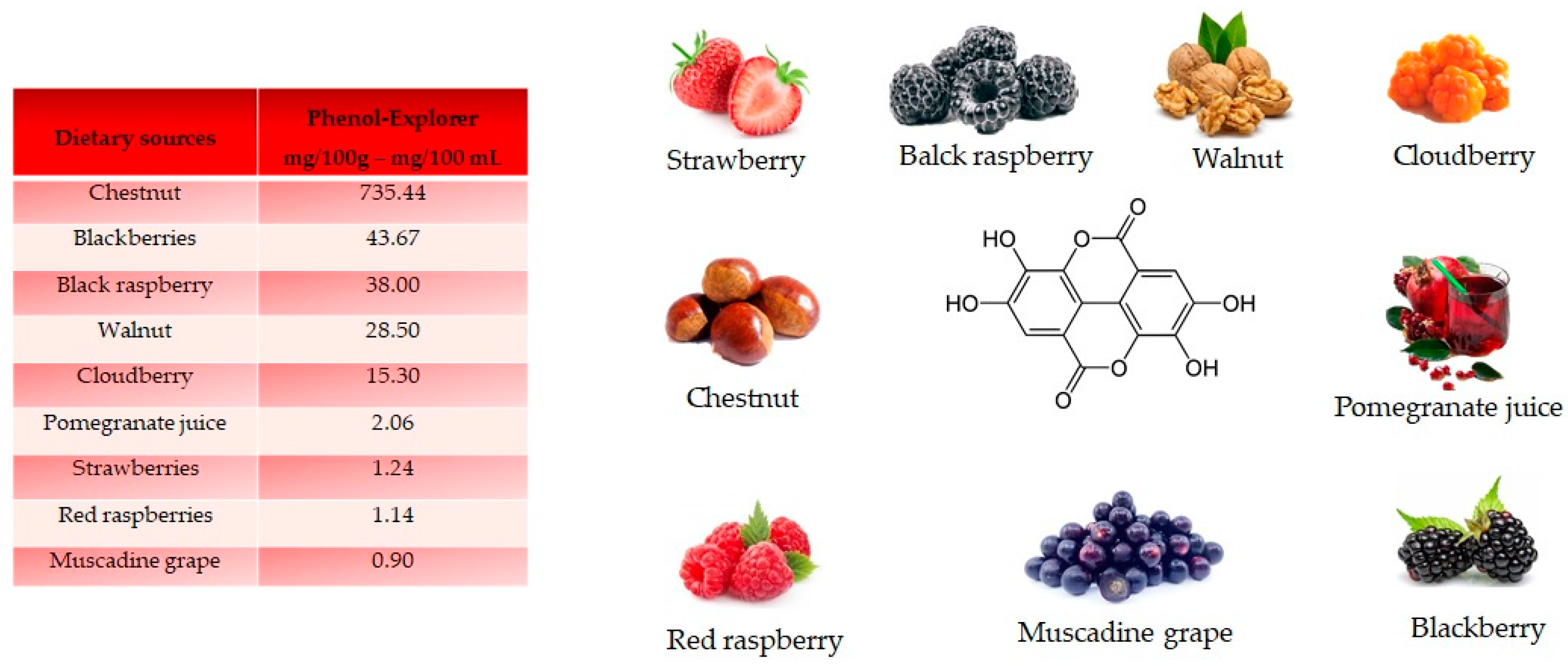 Antioxidants 10 00328 g005