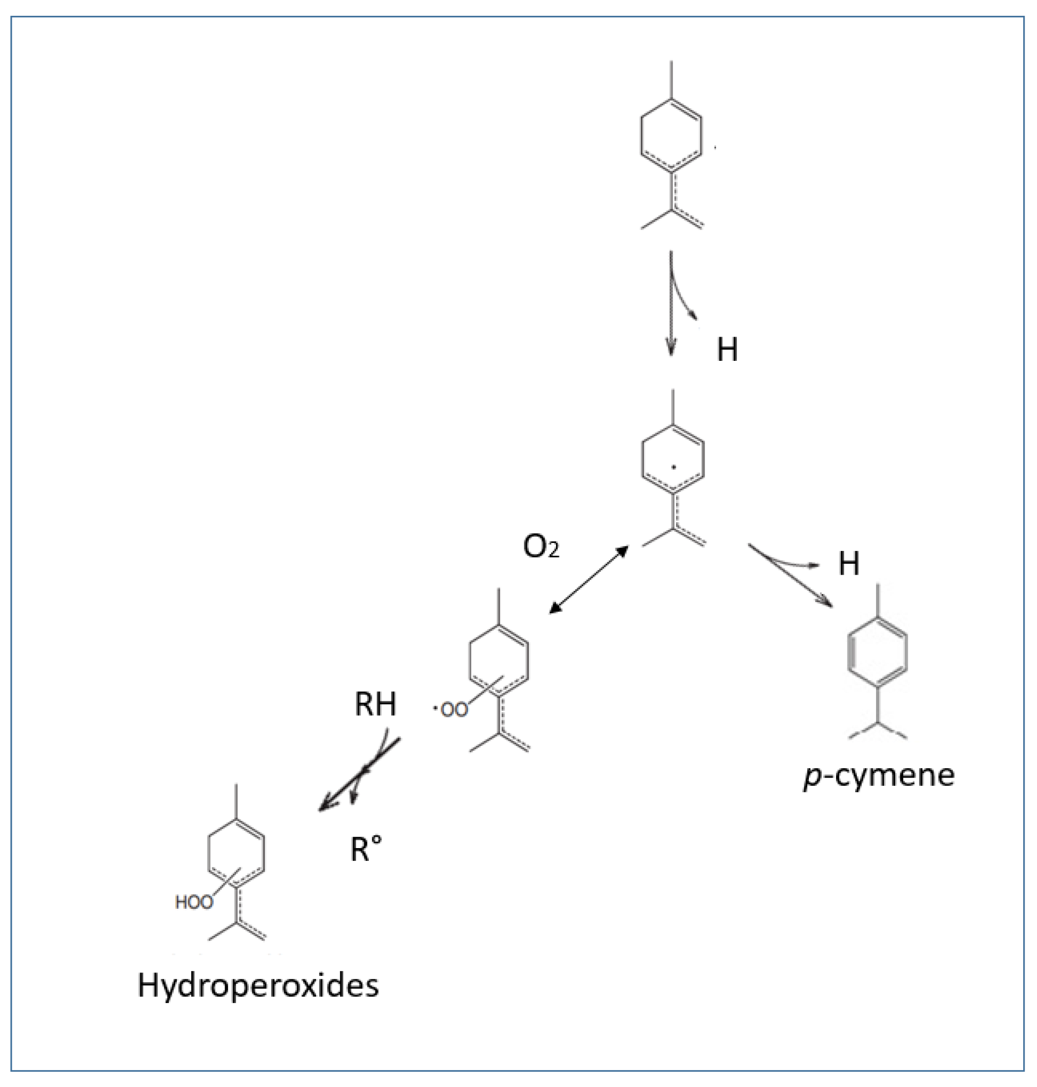 Antioxidants 10 00330 g003