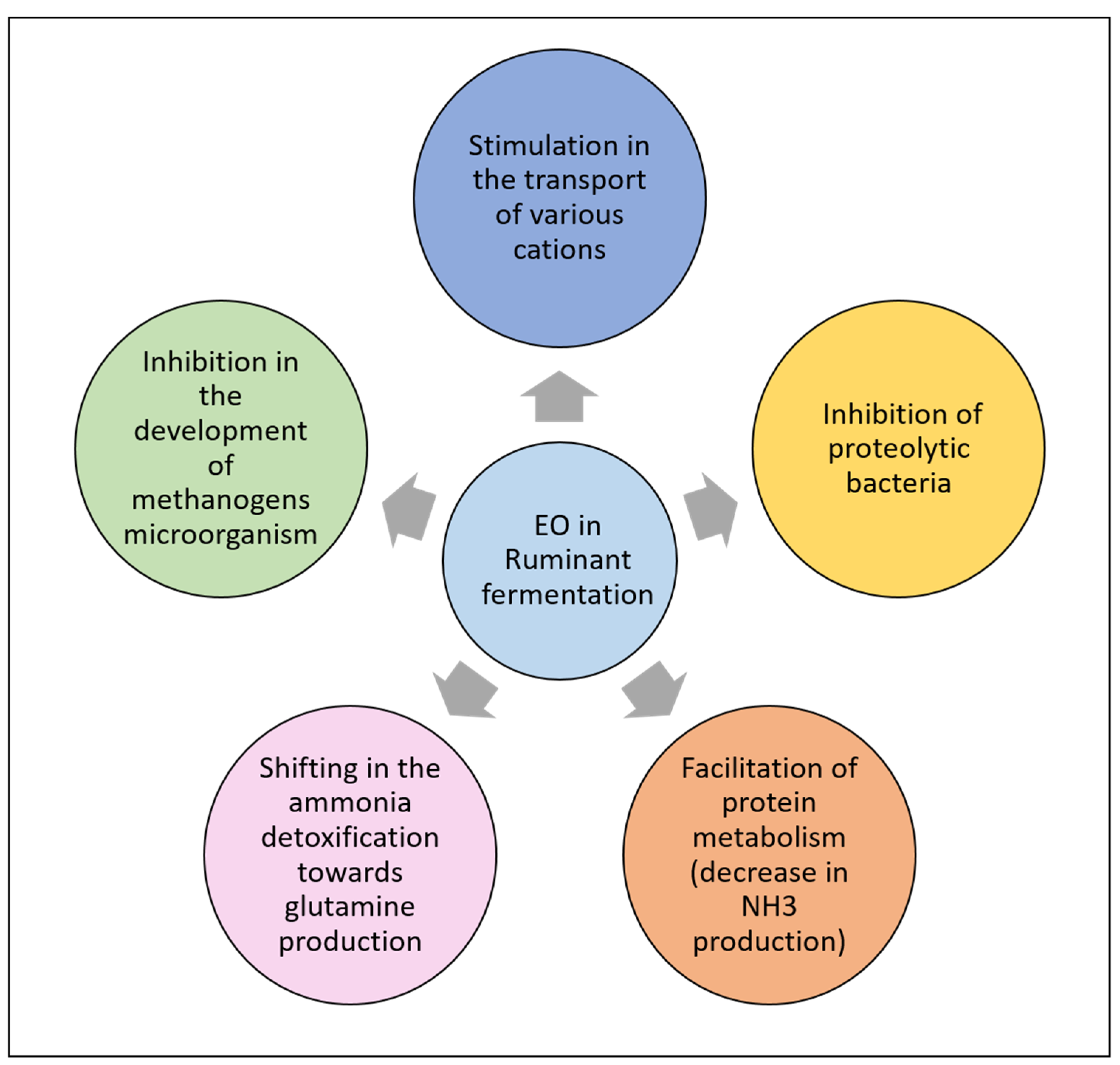 Antioxidants 10 00330 g005