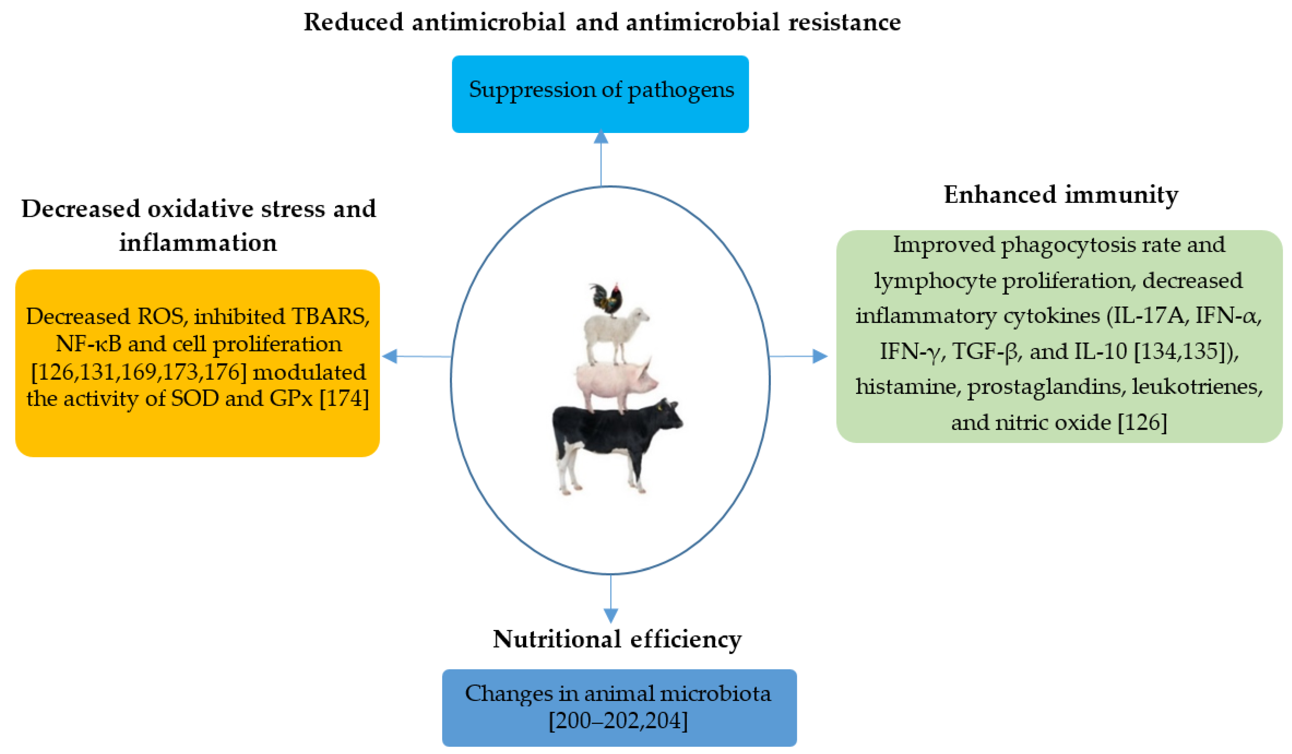 Antioxidants 10 00330 g006