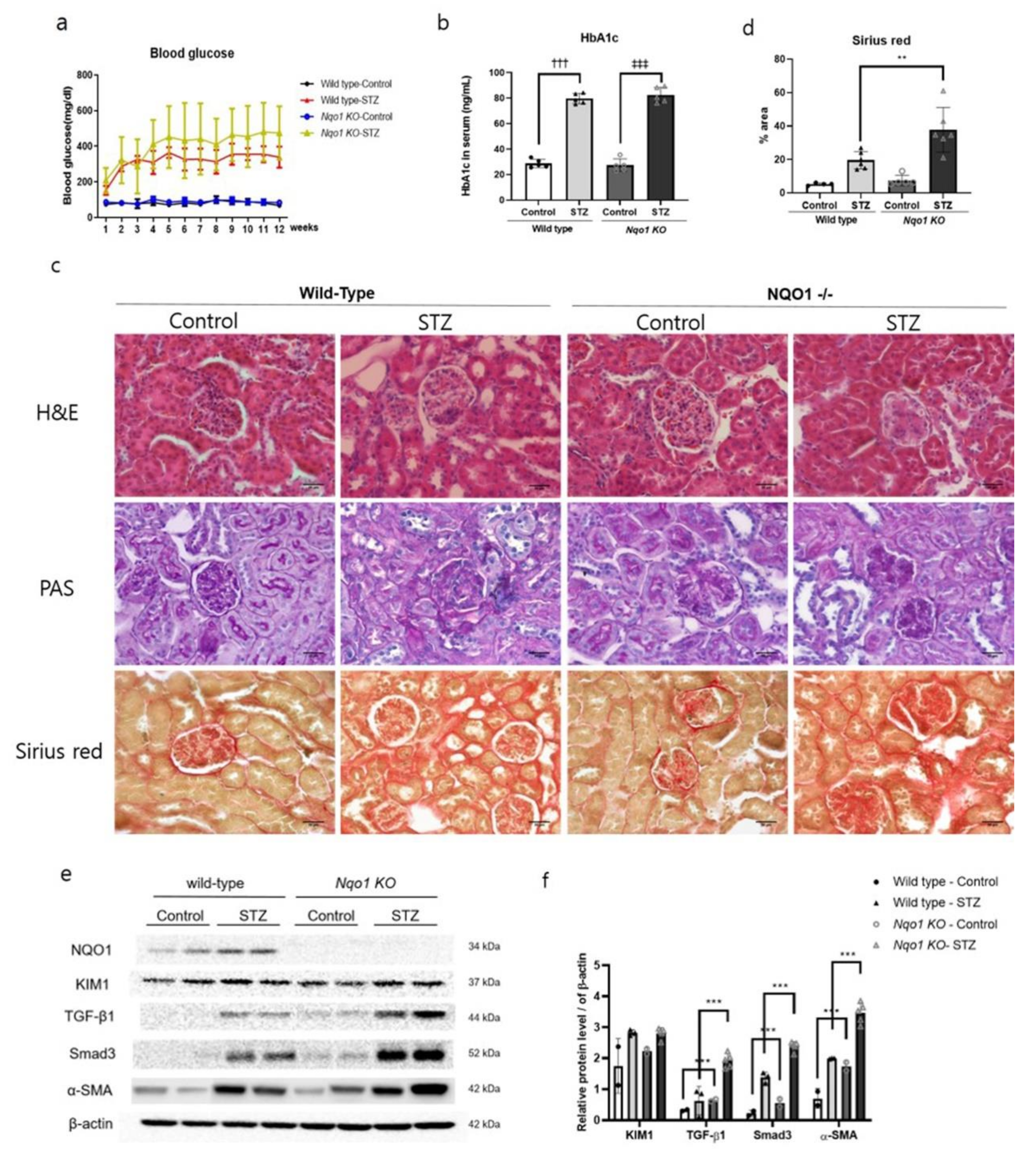 Antioxidants 10 00333 g005 Antioxidants 10 00333 g005