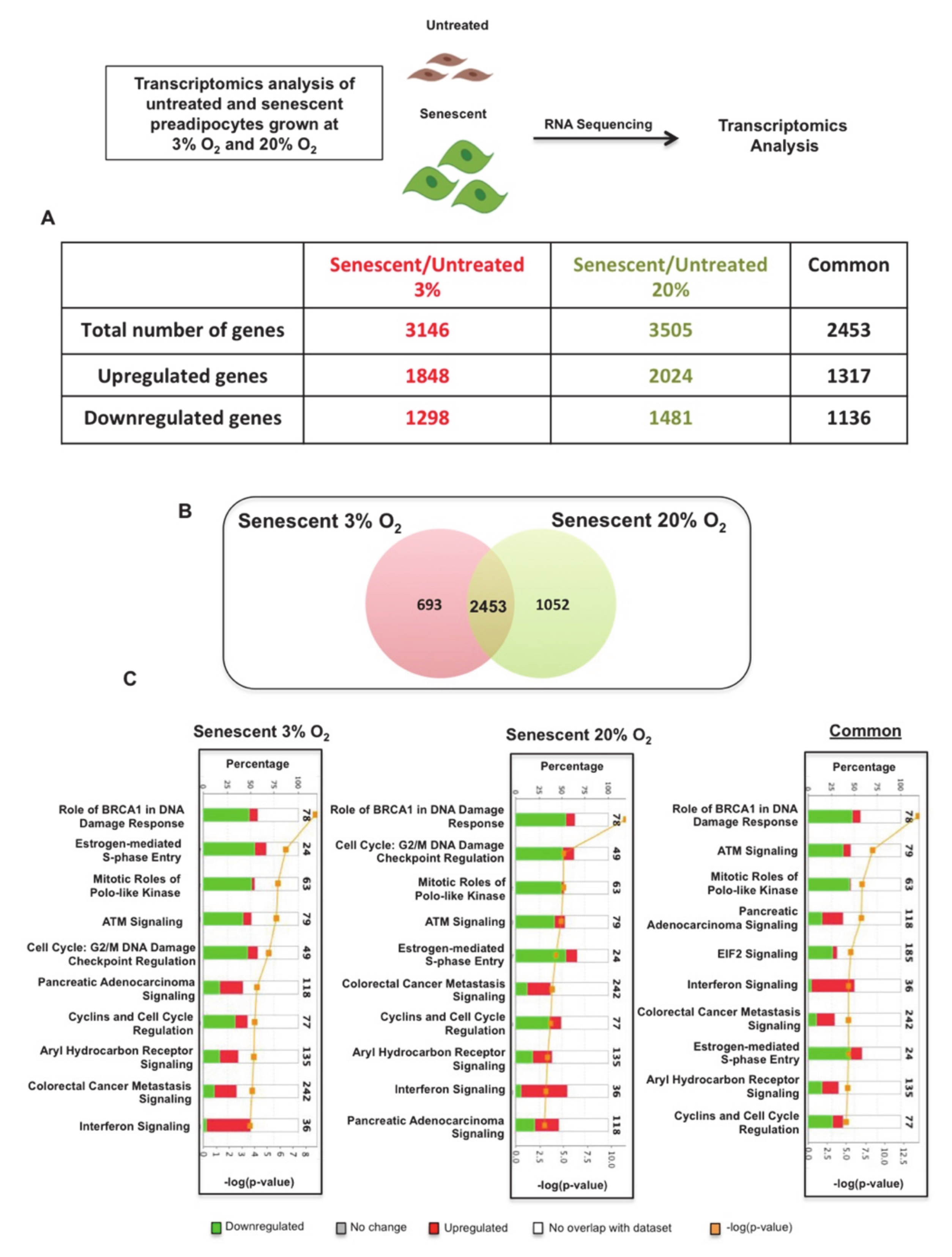 Antioxidants 10 00334 g002 Antioxidants 10 00334 g002