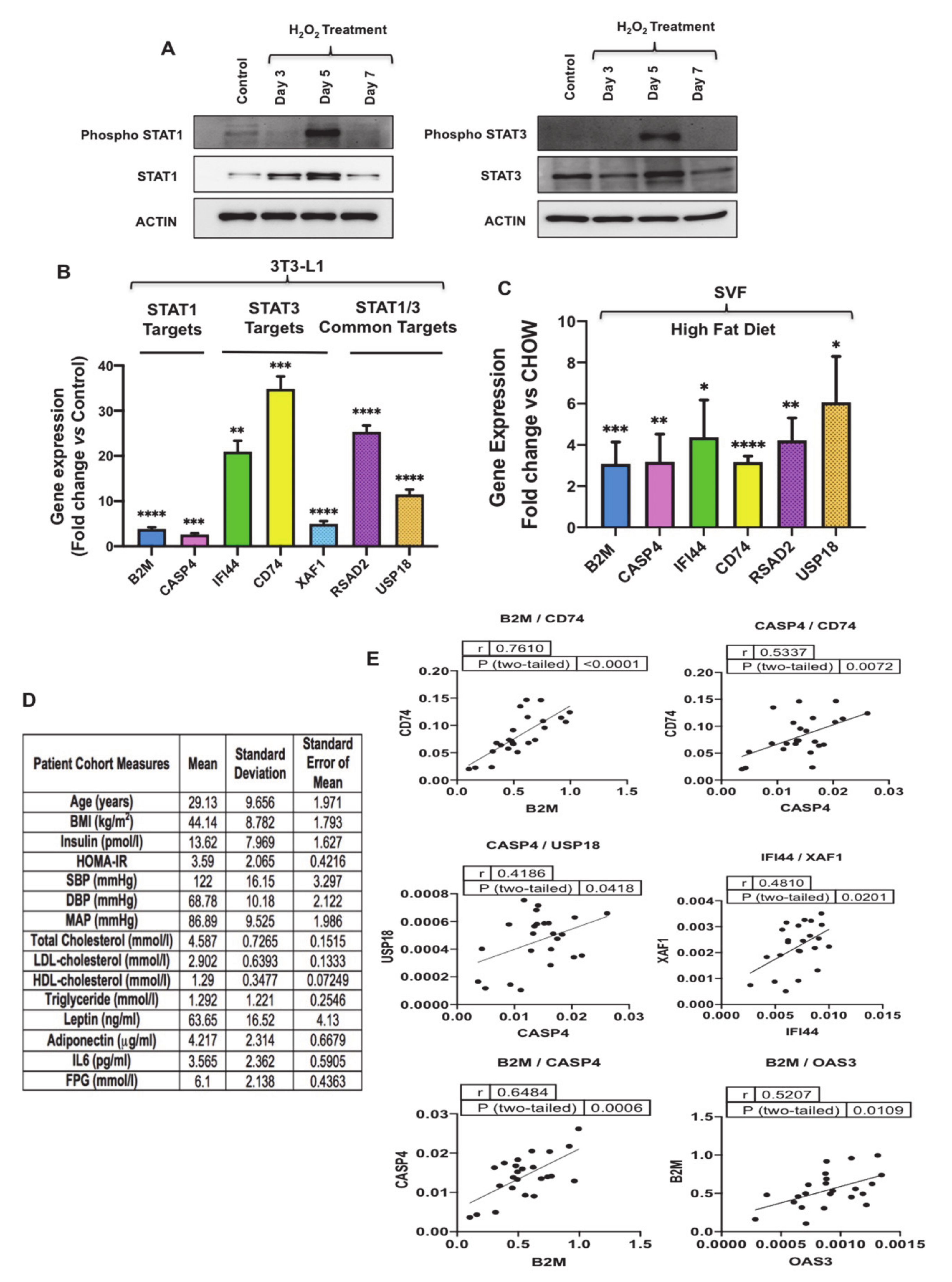 Antioxidants 10 00334 g005 Antioxidants 10 00334 g005