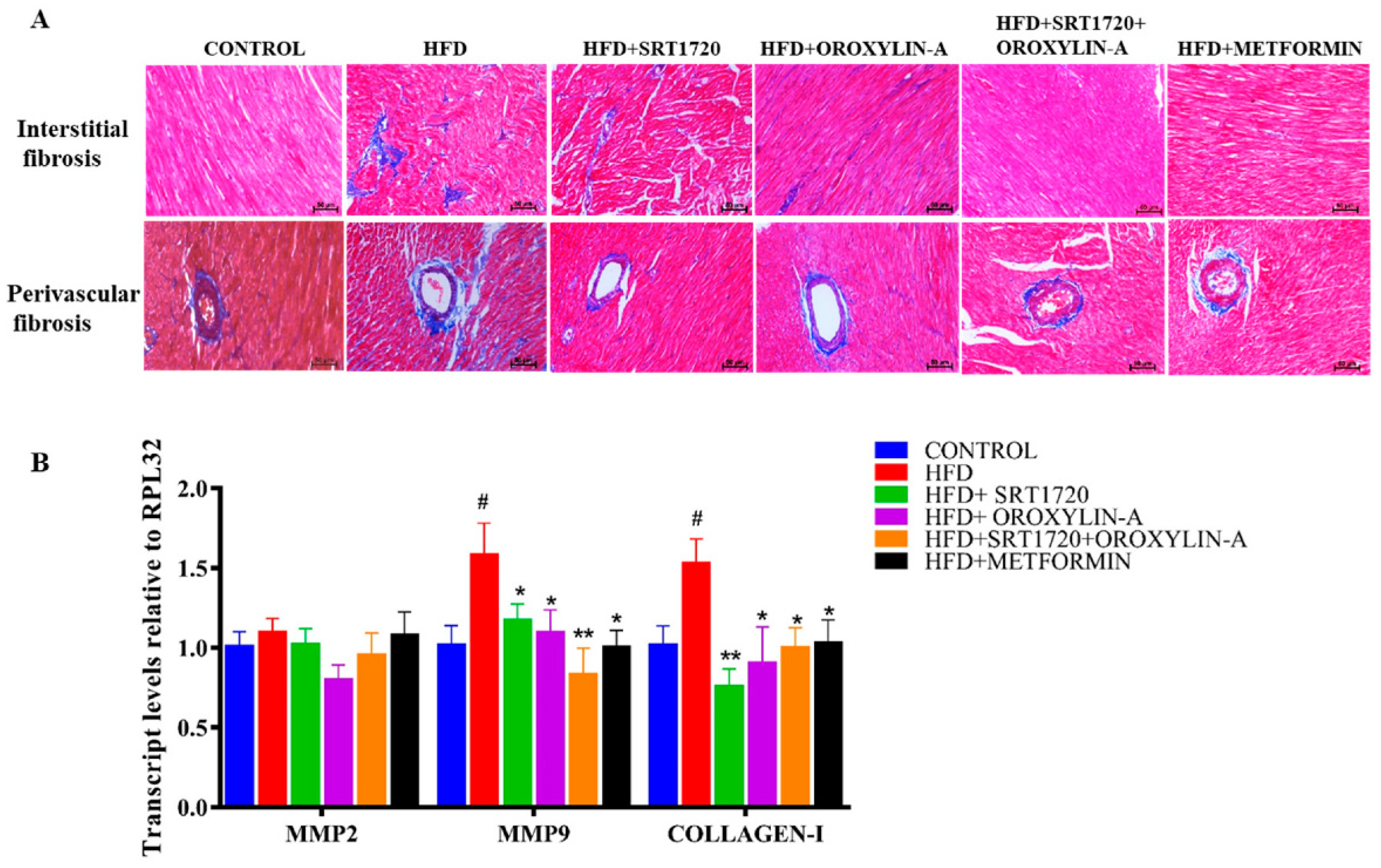 Antioxidants 10 00338 g003 Antioxidants 10 00338 g003
