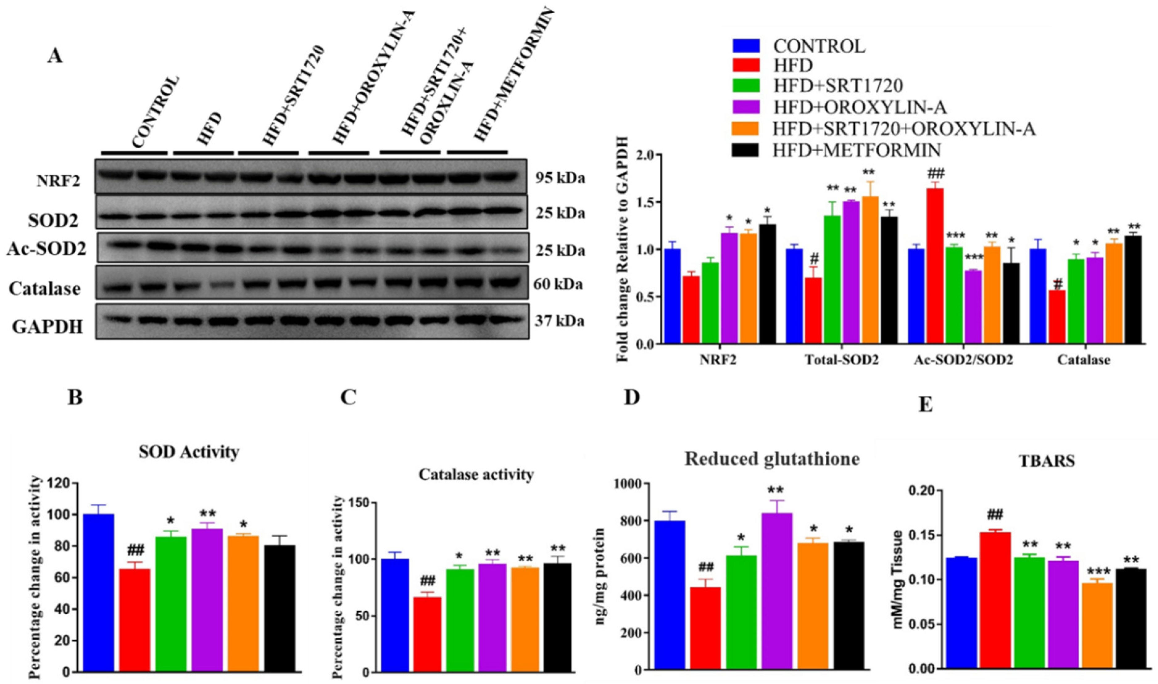 Antioxidants 10 00338 g008 Antioxidants 10 00338 g008