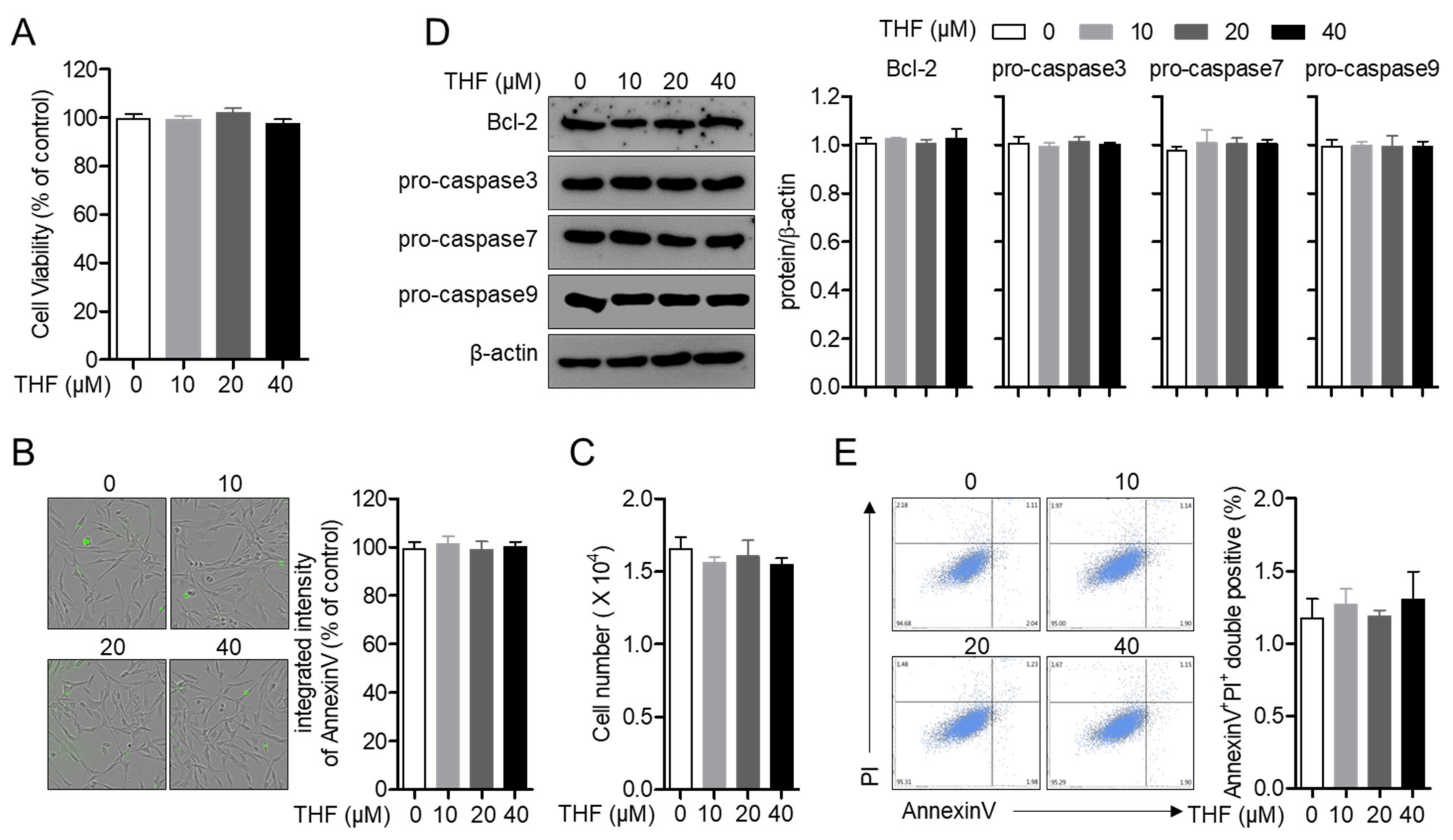 Antioxidants 10 00341 g002 Antioxidants 10 00341 g002