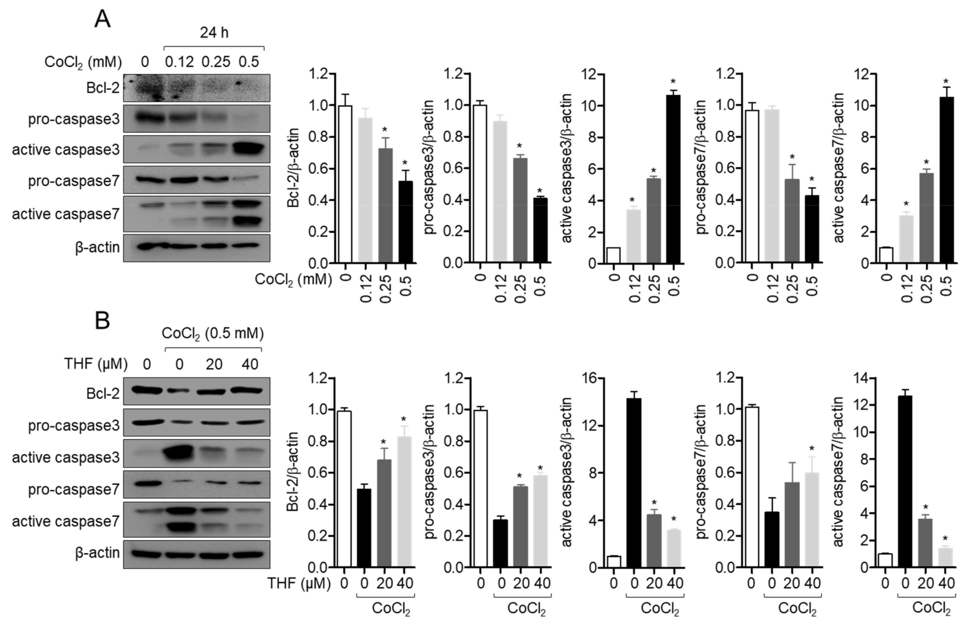 Antioxidants 10 00341 g004 Antioxidants 10 00341 g004