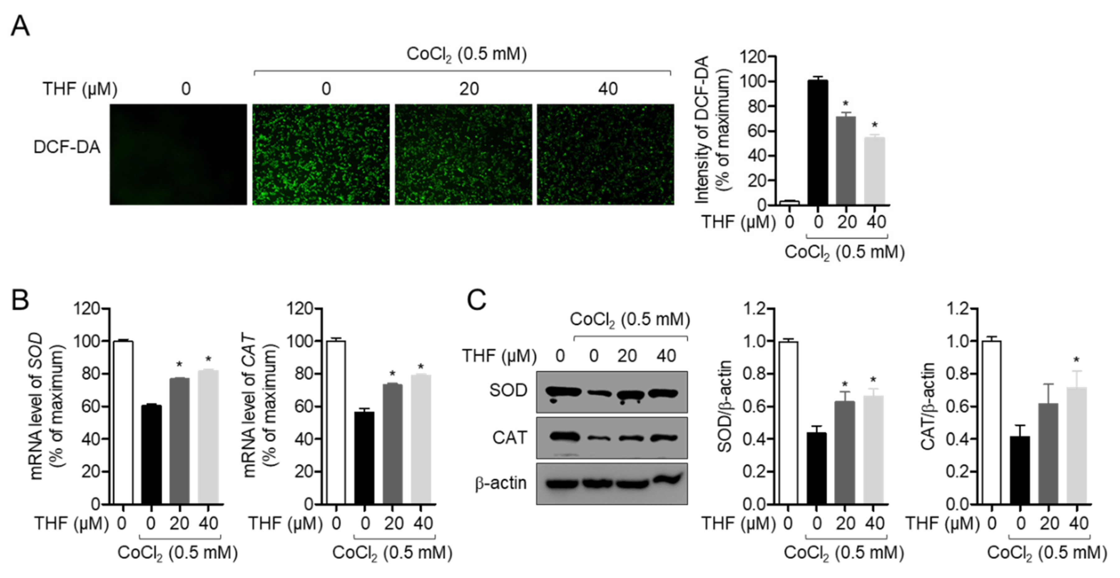 Antioxidants 10 00341 g006 Antioxidants 10 00341 g006