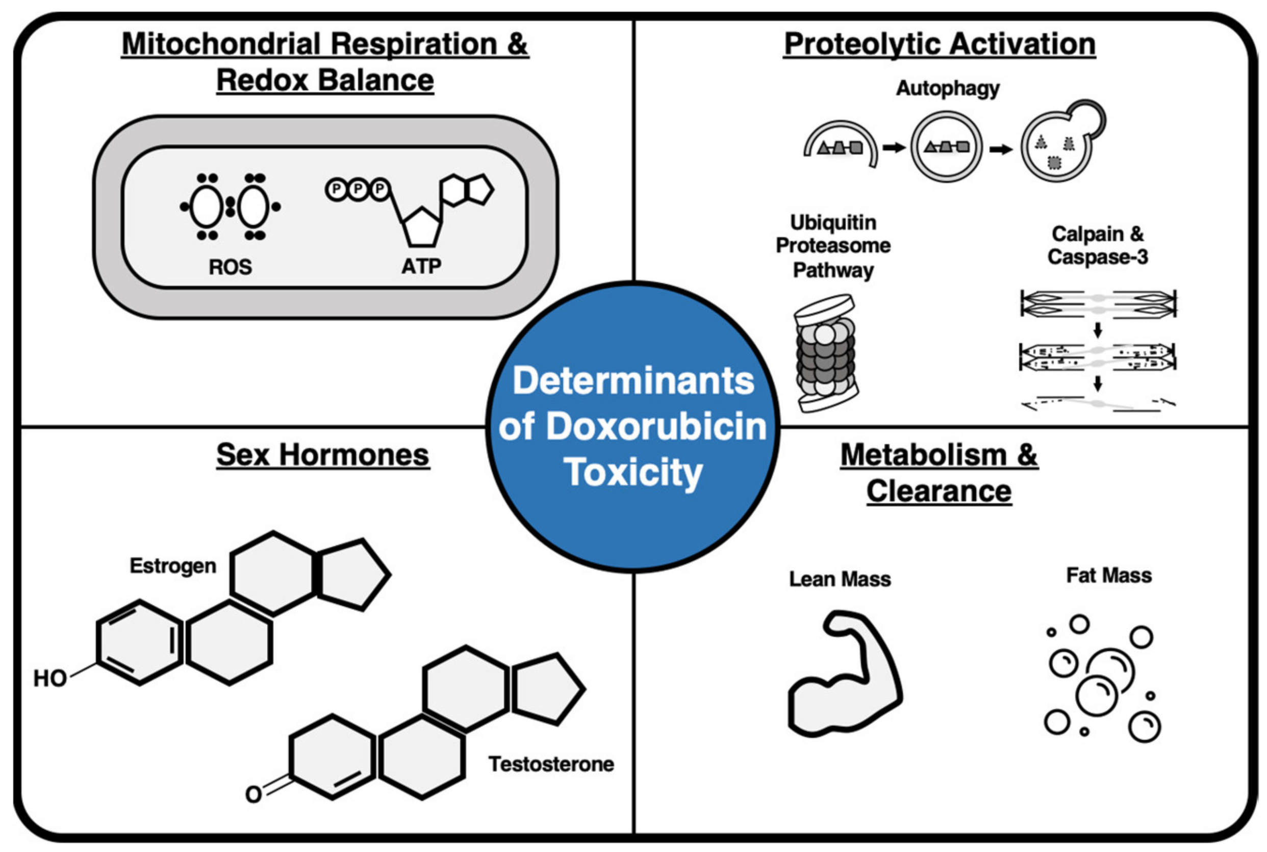 Antioxidants 10 00343 g002