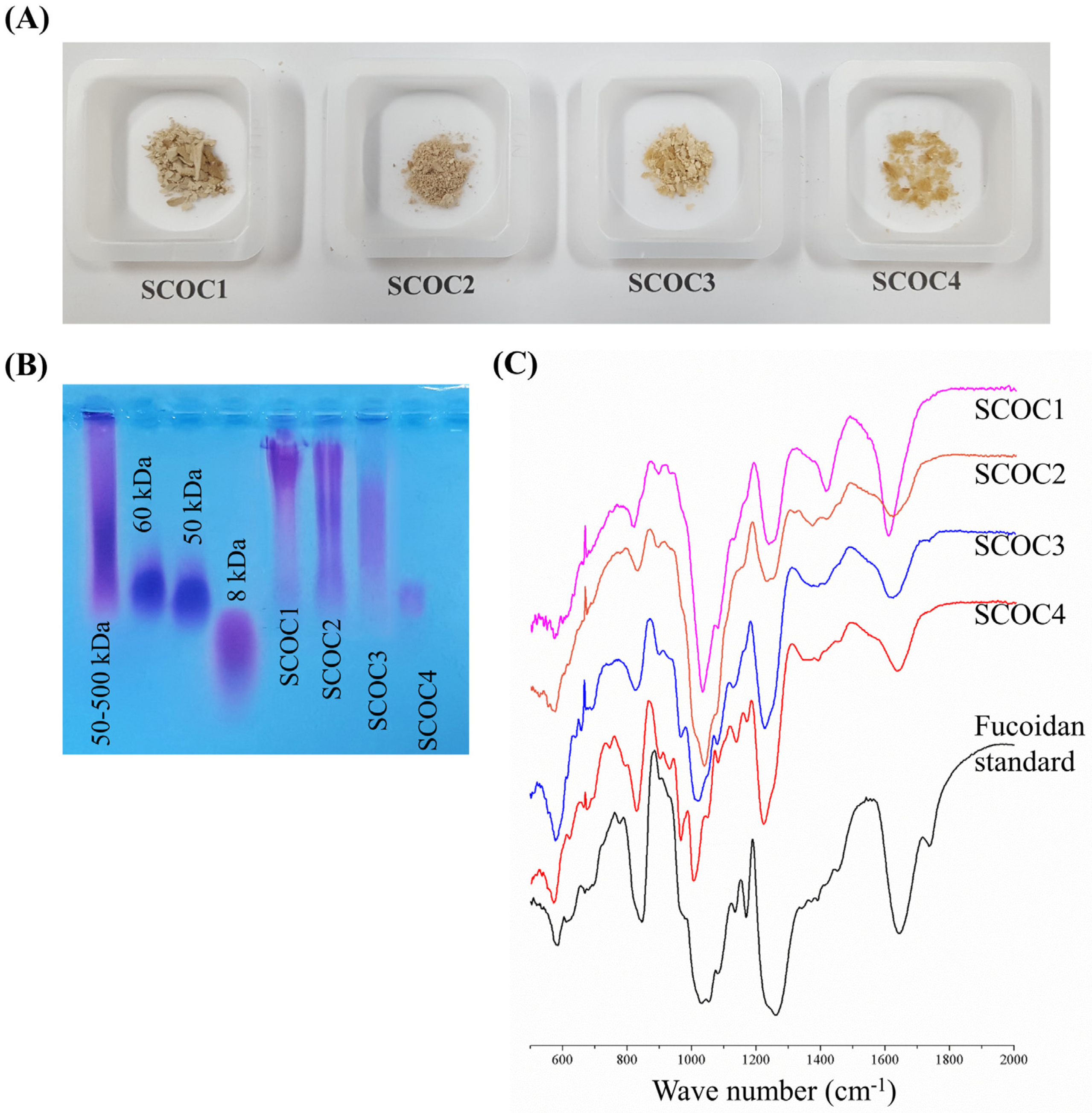 Antioxidants 10 00347 g001