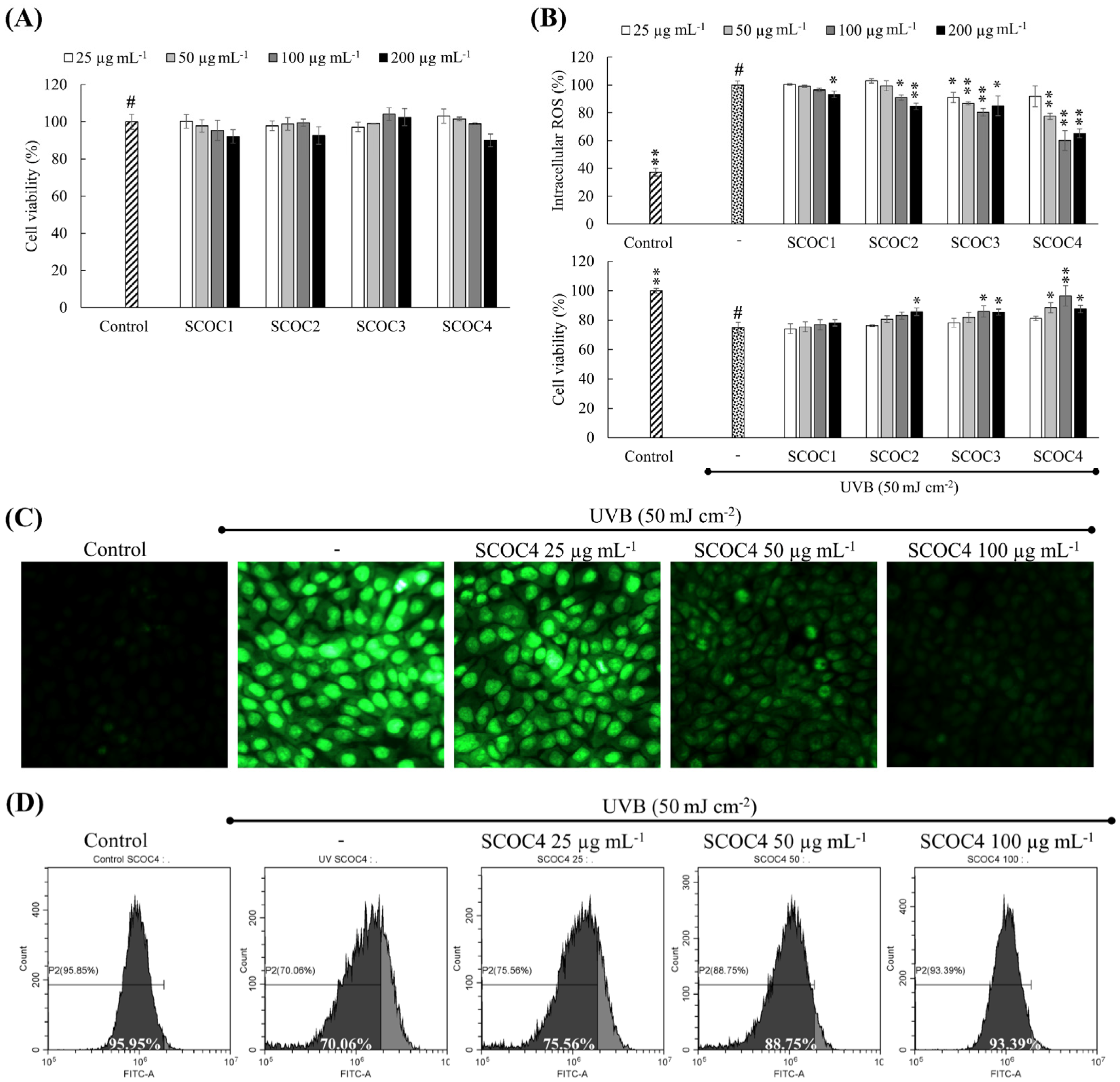 Antioxidants 10 00347 g002