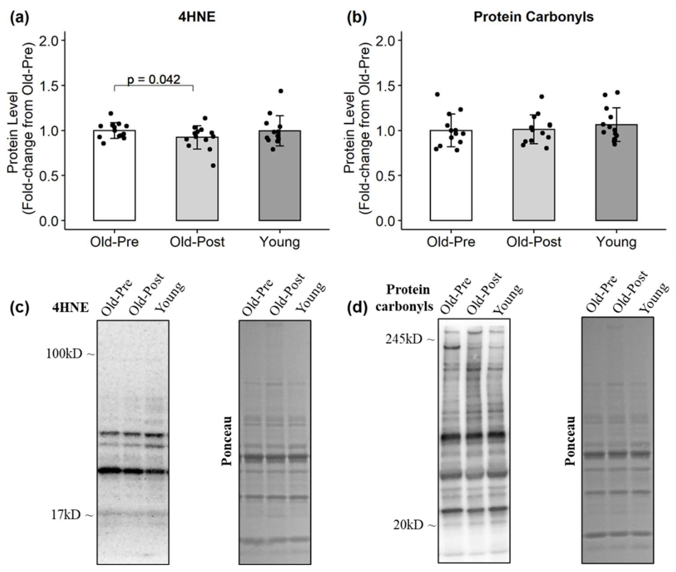 Antioxidants 10 00350 g004