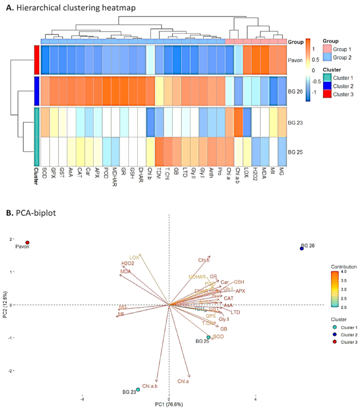 Antioxidants 10 00351 g008 Antioxidants 10 00351 g008